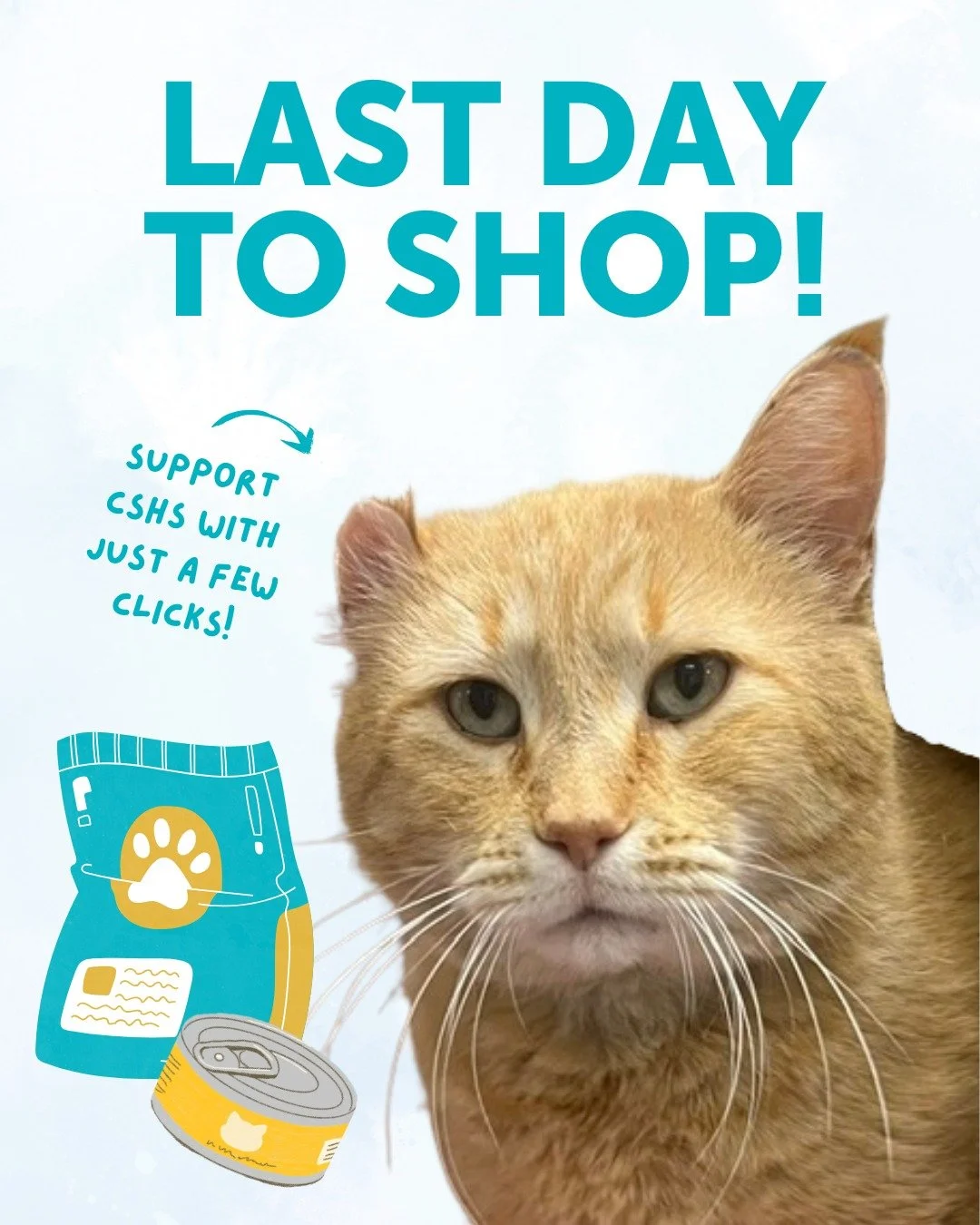 🐾 LAST CHANCE! 🐾

Today is the final day of Amazon Pet Days! 🕒

Your support means the world to us and to all the furry friends we care for. If you&rsquo;ve been waiting for the perfect moment to snag those essentials or a special treat for our re