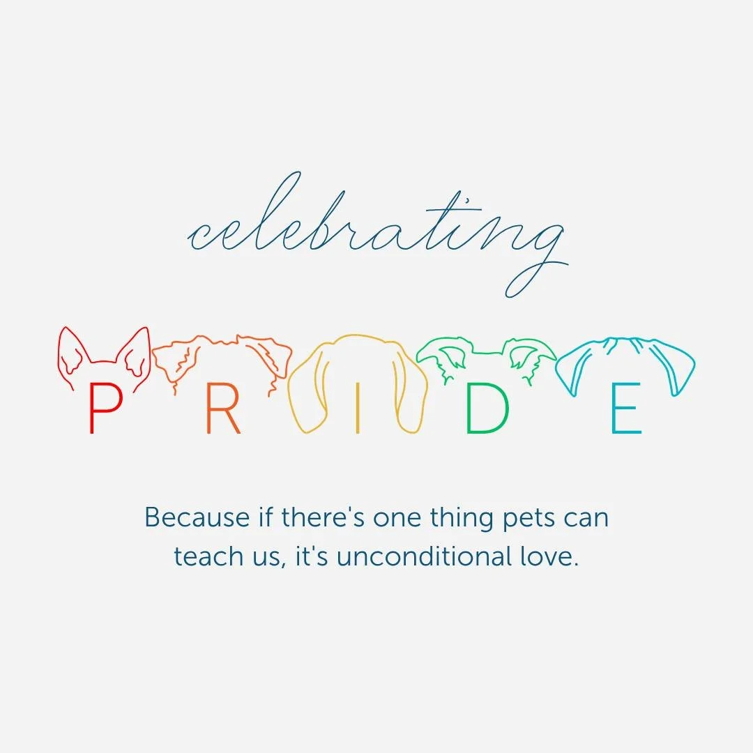All are welcome here. 🐾❤️🌈

Happy Pride from Carver Scott Humane Society!

#pride #rescue