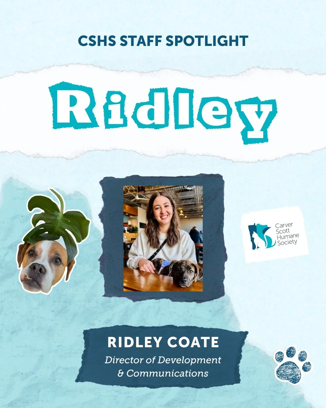 ✨ Staff Spotlight ✨

Behind every great rescue is a team of passionate people, and we are so lucky to have Ridley leading our development and communications! 🐾

From bottle-feeding tiny kittens to helping our community build lasting legacies for the