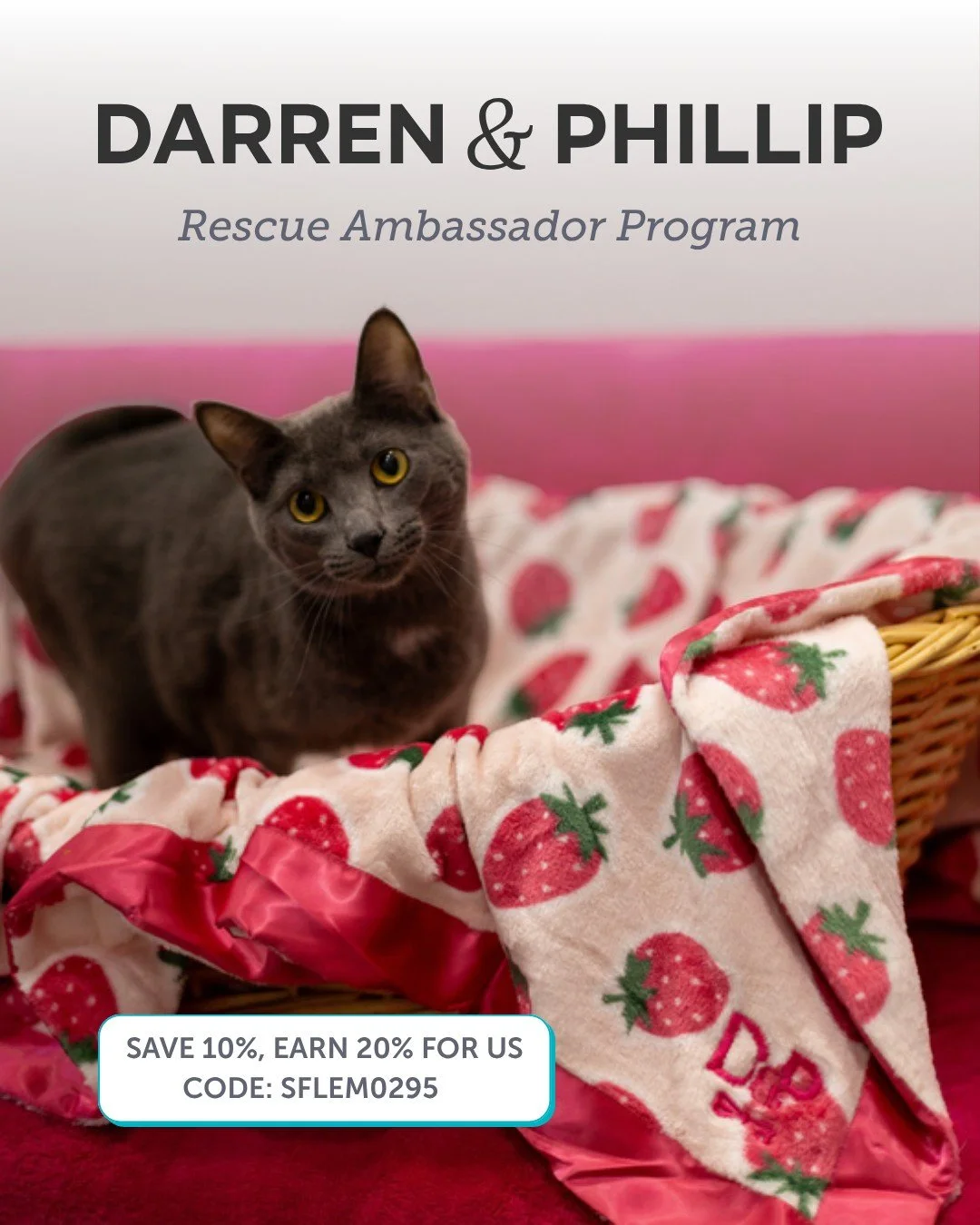 🐾 BIG NEWS! We are so excited to announce that we have officially joined forces with Darren &amp; Phillip as a Rescue Ambassador! 🐶❤️

Darren &amp; Phillip are famous for their cozy, high-quality dog wear (especially those iconic PJs!), and now, sh