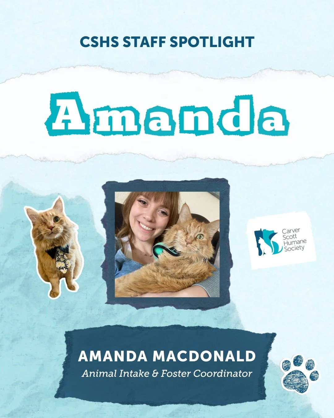 ✨ Staff Spotlight: Meet Amanda! ✨

Behind every great rescue is a team of passionate people, and we are incredibly lucky to have Amanda as our Animal Intake &amp; Foster Coordinator! 🐾

Amanda works tirelessly to match rescue cats with their perfect