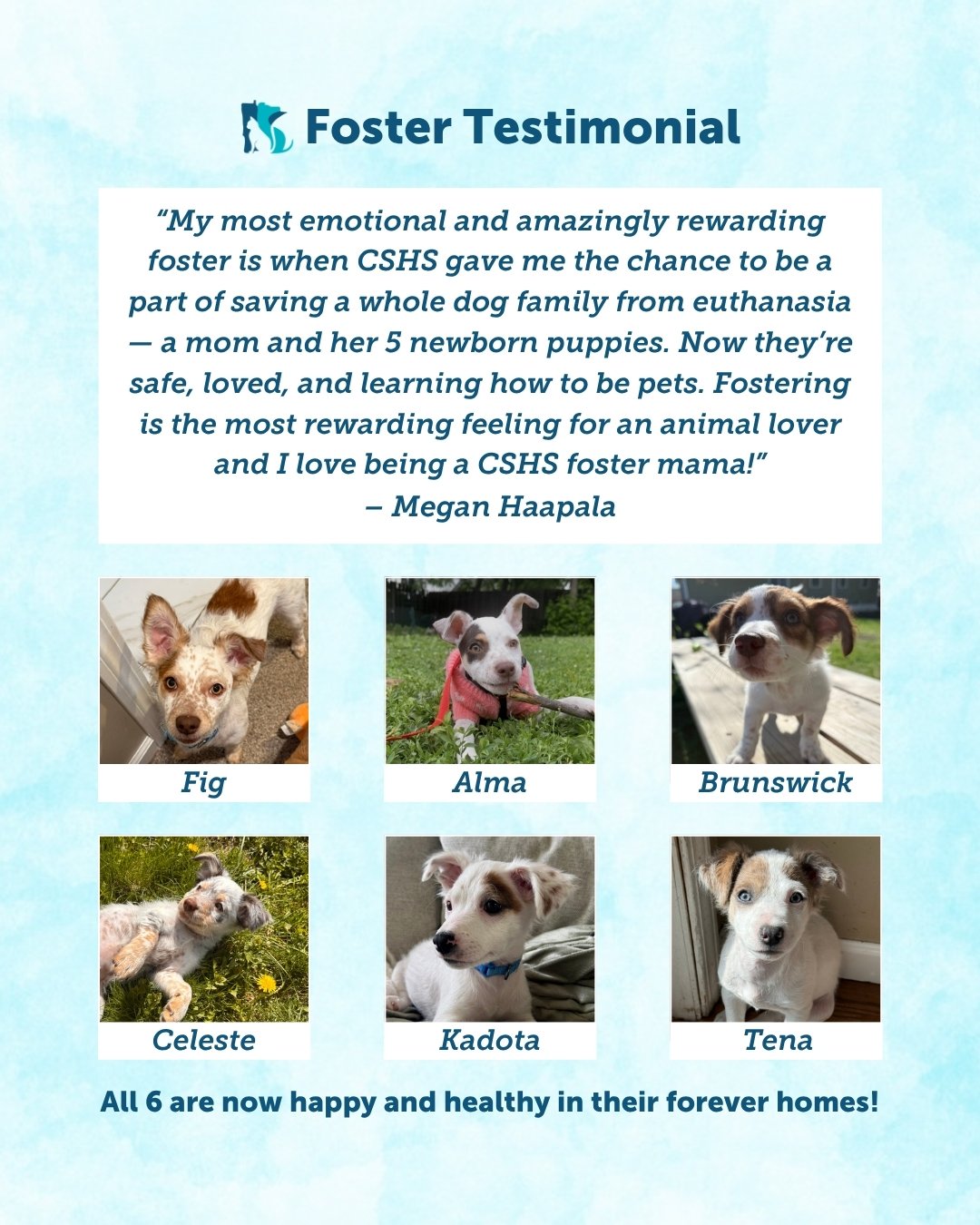 Where are they now? 🐾

When one of our fosters, Megan, took in a mom and her 5 newborn puppies, she changed their lives forever. Today, all 6 are officially happy, healthy, and loved in their forever homes!

"Fostering is the most rewarding fee
