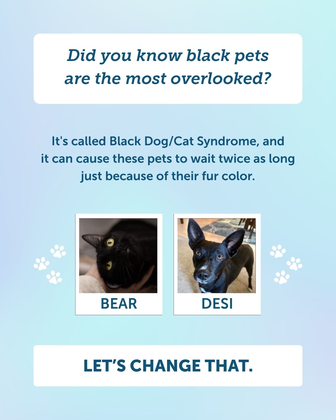 Did you know black pets are the most overlooked? Let&rsquo;s change that right now.

Due to "Black Dog/Cat Syndrome," these beautiful animals can wait twice as long for a home just because of their coat color.

Meet our amazing black pets a