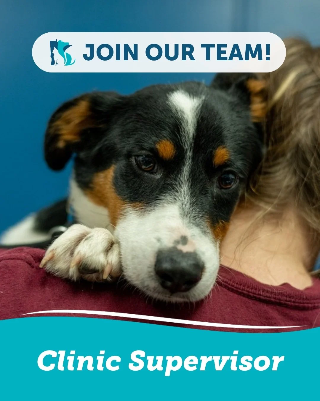We&rsquo;re hiring: Clinic Supervisor (Part-Time with Full-Time Growth Path) 🚀

We're launching a veterinary clinic and we need a leader to help us build it. We are seeking a Licensed Veterinary Technician who is passionate about access to care and 