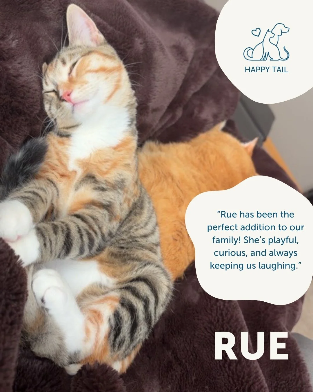 🐾 JULY HAPPY TAILS 🐾

Nothing beats the feeling of seeing our alumni living their absolute best lives! This month, we are celebrating two incredible updates from our adopted furry friends, Rue and Matias.

📸 Want to see your pet featured next mont