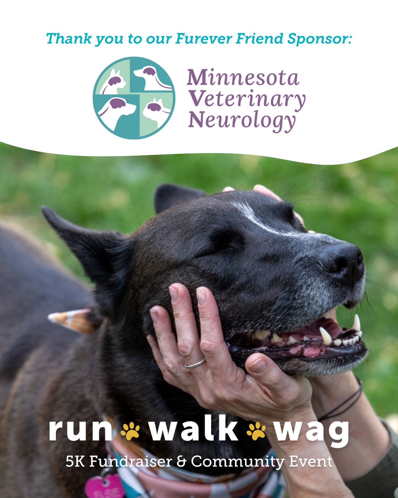 A massive round of ap-paws for our Furever Friend Sponsor, Minnesota Veterinary Neurology! 🐾

We are so grateful for their incredible support of Run, Walk, Wag 2026. Thanks to partners like them, we&rsquo;re able to bring this event to life for the 