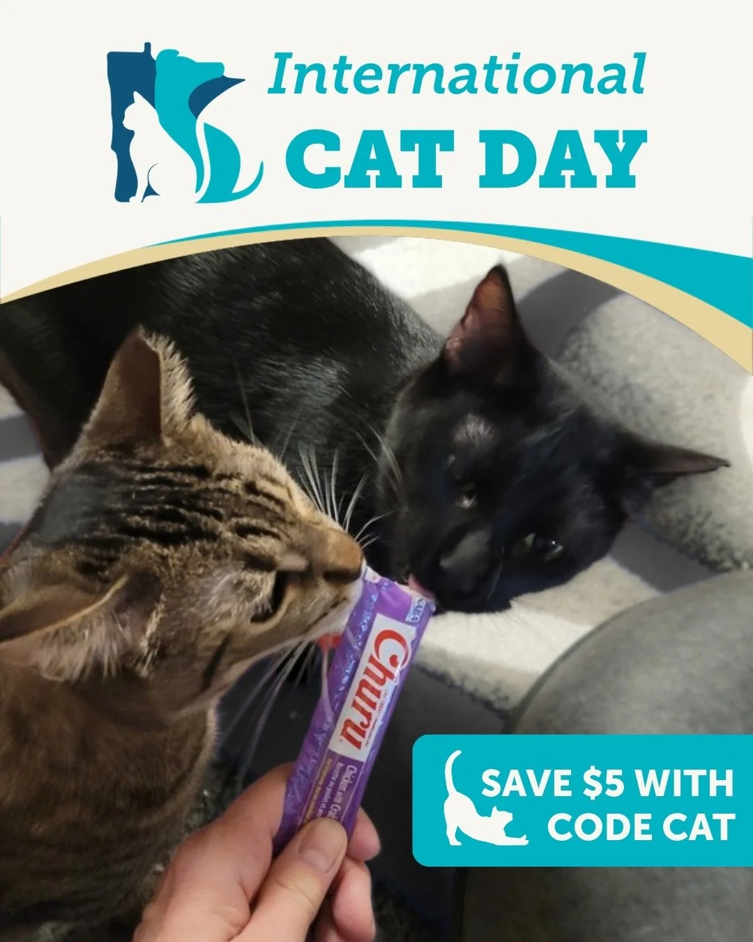 Happy International Cat Day from Scooby &amp; Doo! 🐾🐱 ✨

Nothing brings a duo together like sharing a Churu treat! 😋

Celebrate today by signing up for Run, Walk, Wag 2026, where every ticket supports second chances for our animals. Use code CAT t