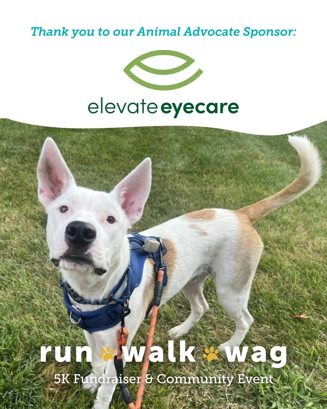 A massive round of ap-paws for our Animal Advocate Sponsor, Elevate Eyecare! 🐾

We are so grateful for their incredible support of Run, Walk, Wag 2026. Thanks to partners like them, we&rsquo;re able to bring this event to life for the health and hap