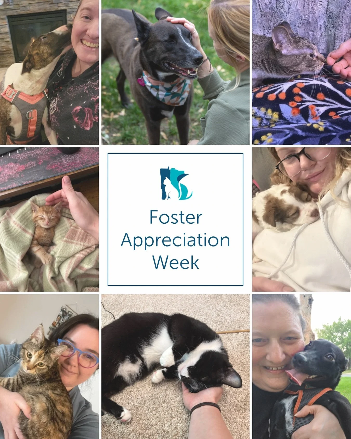 Behind every successful adoption is a foster who said &ldquo;yes.&rdquo; 💙

To say we are thankful for our foster families would be a massive understatement. We literally could not do this life saving work without them! From late night bottle feedin