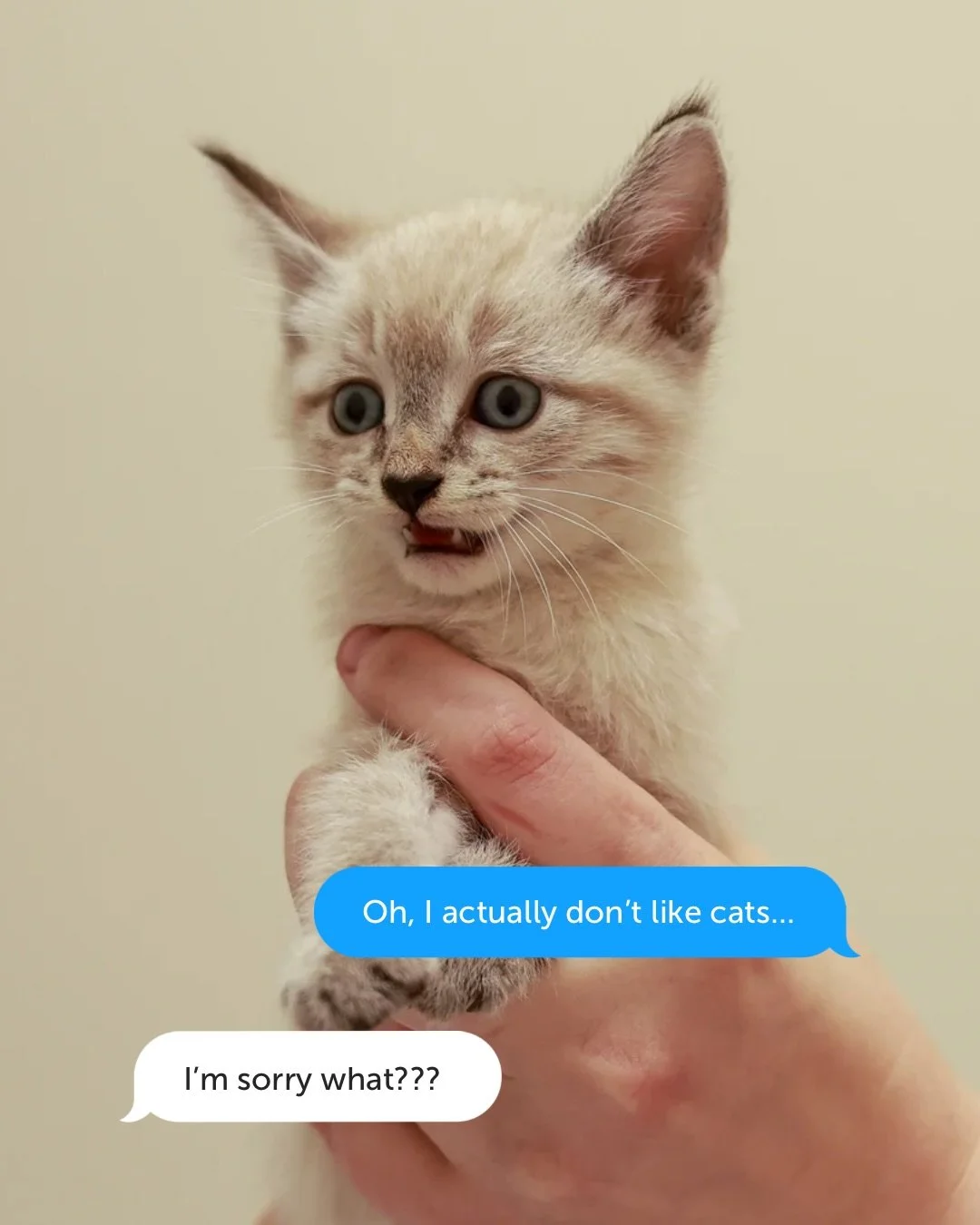 Zero tolerance for pet slander over here! 😂

As we step into our new space, we want to remind everyone that we have tons of cute animals available for adoption right now. Share this post to help spread awareness and help them find their match: bit.l