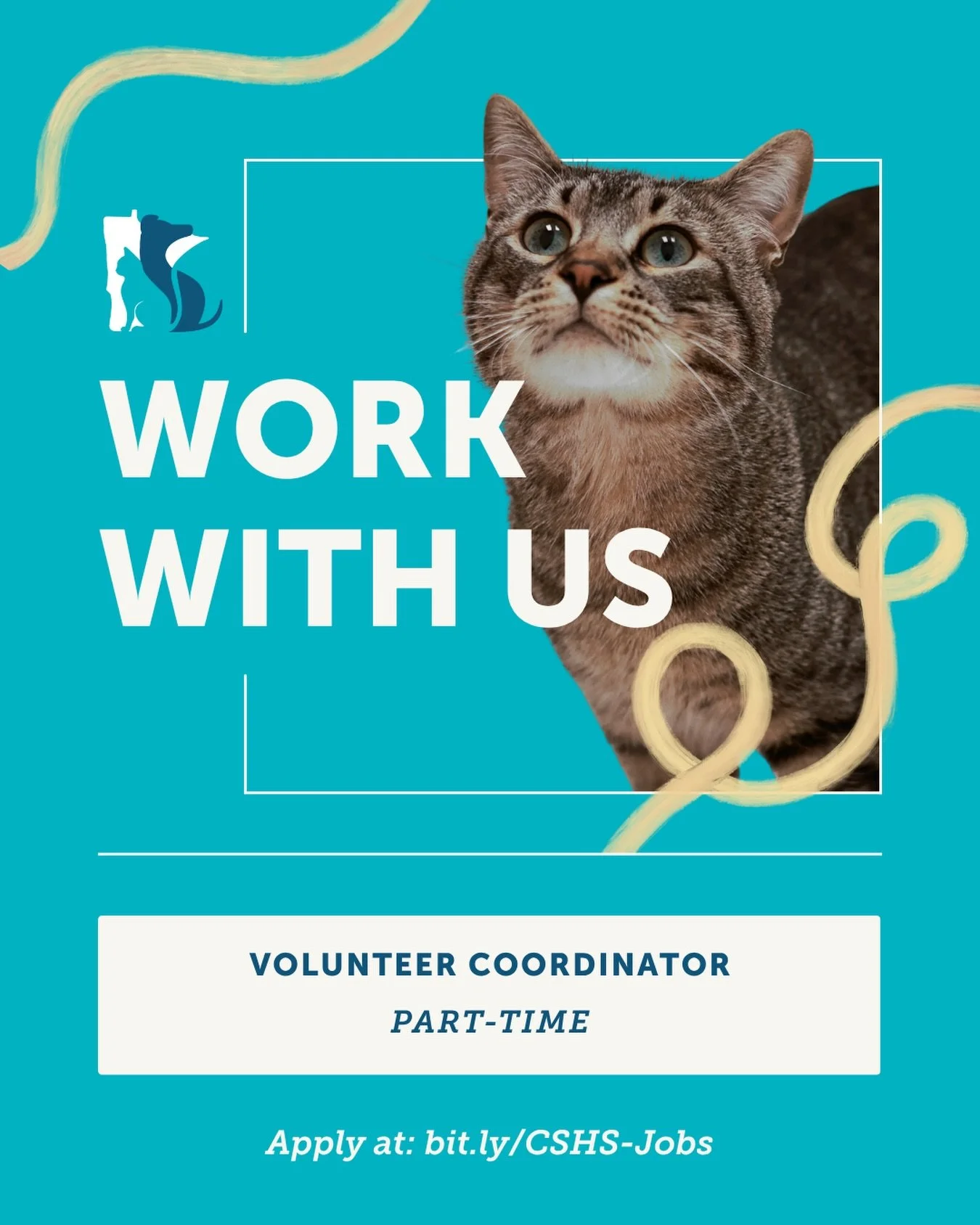 🐾 Join our team and help us empower our amazing volunteers!

We&rsquo;re looking for a Part-Time Volunteer Coordinator to lead, grow, and inspire our incredible community of volunteers and fosters.

If you&rsquo;re a people-person who loves animals,