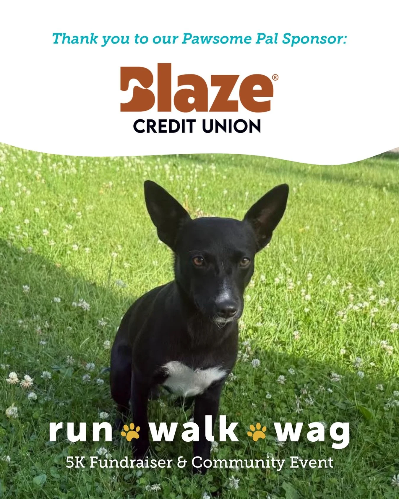 A massive round of ap-paws for our Pawsome Pal Sponsor, Blaze Credit Union! 🐾

We are so grateful for their incredible support of Run, Walk, Wag 2026. Thanks to partners like them, we&rsquo;re able to bring this event to life for the health and happ
