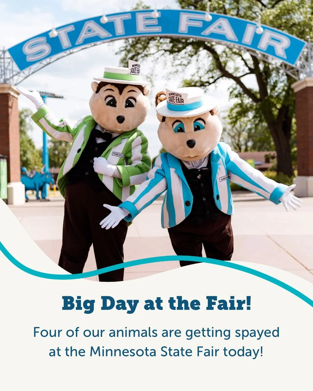 Big day at the Minnesota State Fair! 🐾

Four of our animals are getting spayed at the Minnesota State Fair Pet Surgery Suite today!

We&rsquo;re so excited to participate to help raise awareness about pet overpopulation and highlight the importance 
