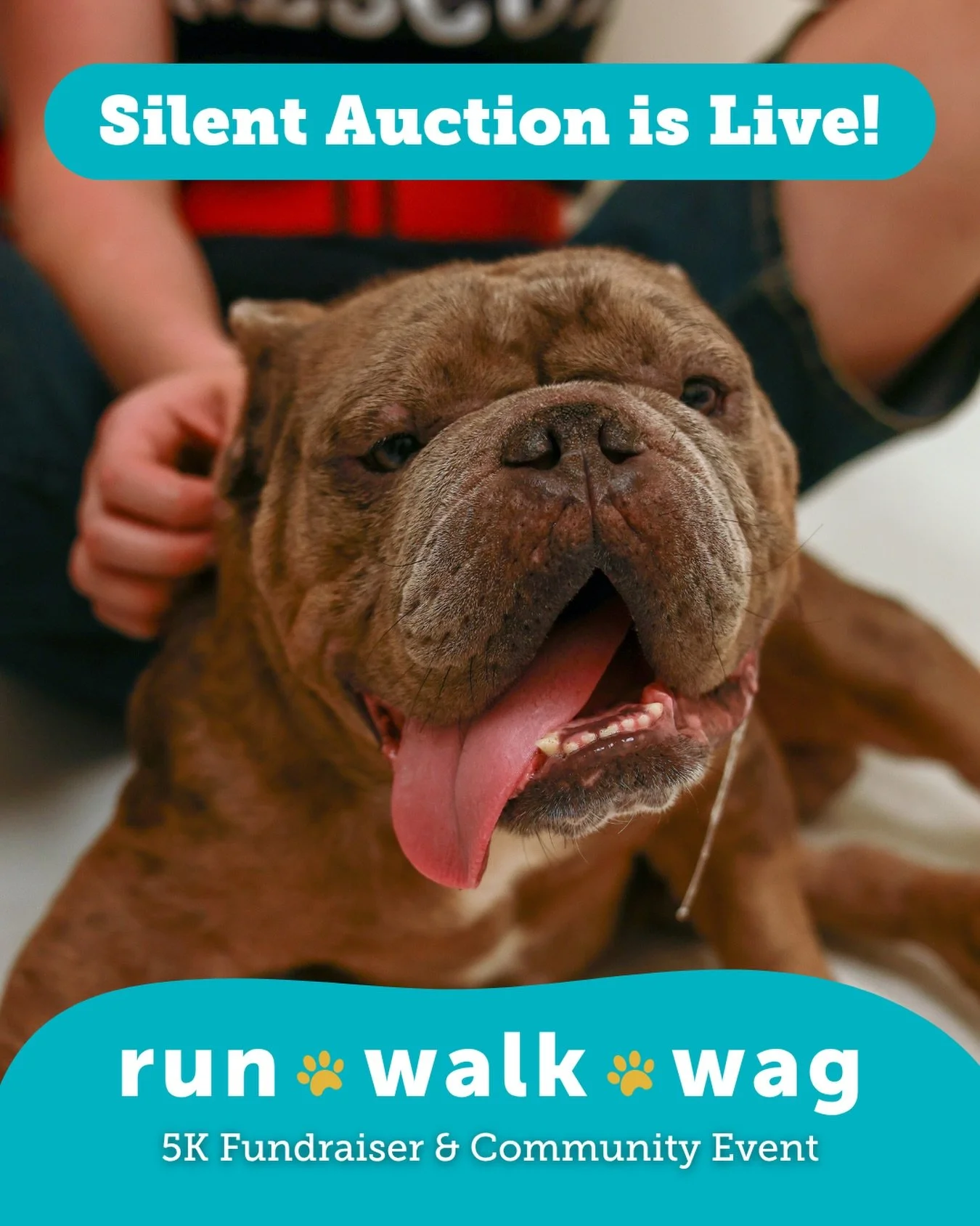 Treat yourself to a little fun, score something awesome, and save a few lives while you&rsquo;re at it! 🐾

Our Run, Walk, Wag Silent Auction is live, and it is officially the easiest, guilt-free way to treat yourself to sports tickets, local show pa