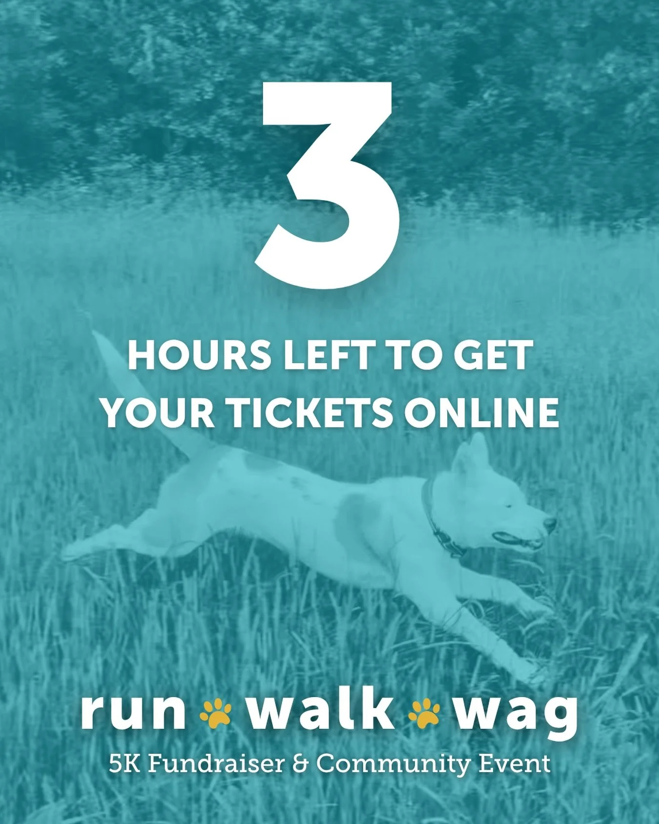 🚨 FINAL CALL: 3 HOURS LEFT TO REGISTER ONLINE! 🚨

Online ticket sales close TODAY at NOON! You have just 3 hours left to skip the race-day lines and secure your spot for Run, Walk, Wag 2026. Get your tickets now before the clock runs out! ⏳

🎟️ Ge