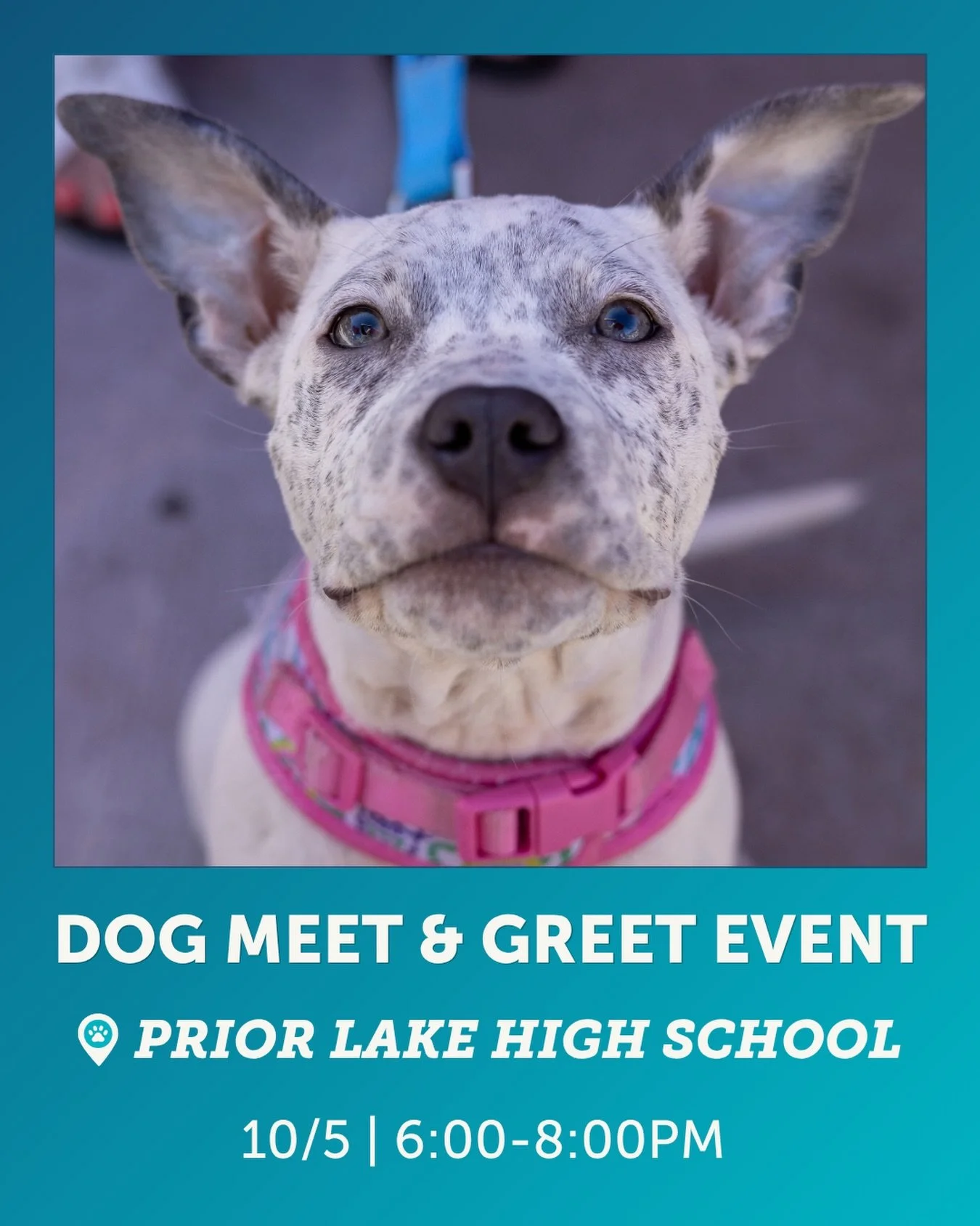 🍂 Come hang out with us at the Fall Community Fest! 🍁

Stop by our booth, say hi, and join in on all the autumn fun. We&rsquo;d love to see you there!

📍 Location: Prior Lake High School (7575 150th St. West Savage, MN 55378)
⏰ Time: 6:00 PM &ndas