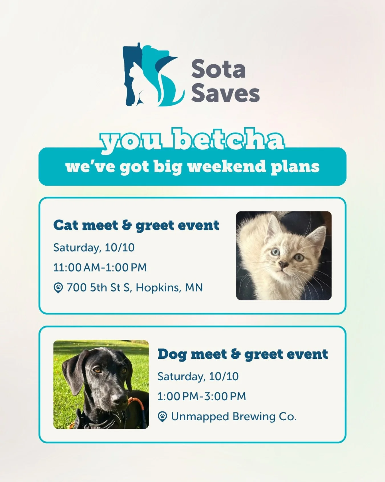 You betcha we got big weekend plans ✨ Come hang out with some adorable pets tomorrow!

Cat &amp; Kitten Meet &amp; Greet
🗓️ Saturday, Oct 10 | 11:00 AM &ndash; 2:00 PM
📍 Sota Saves (700 5th St S, Hopkins)
🐾 13 kittens and cats will be there lookin