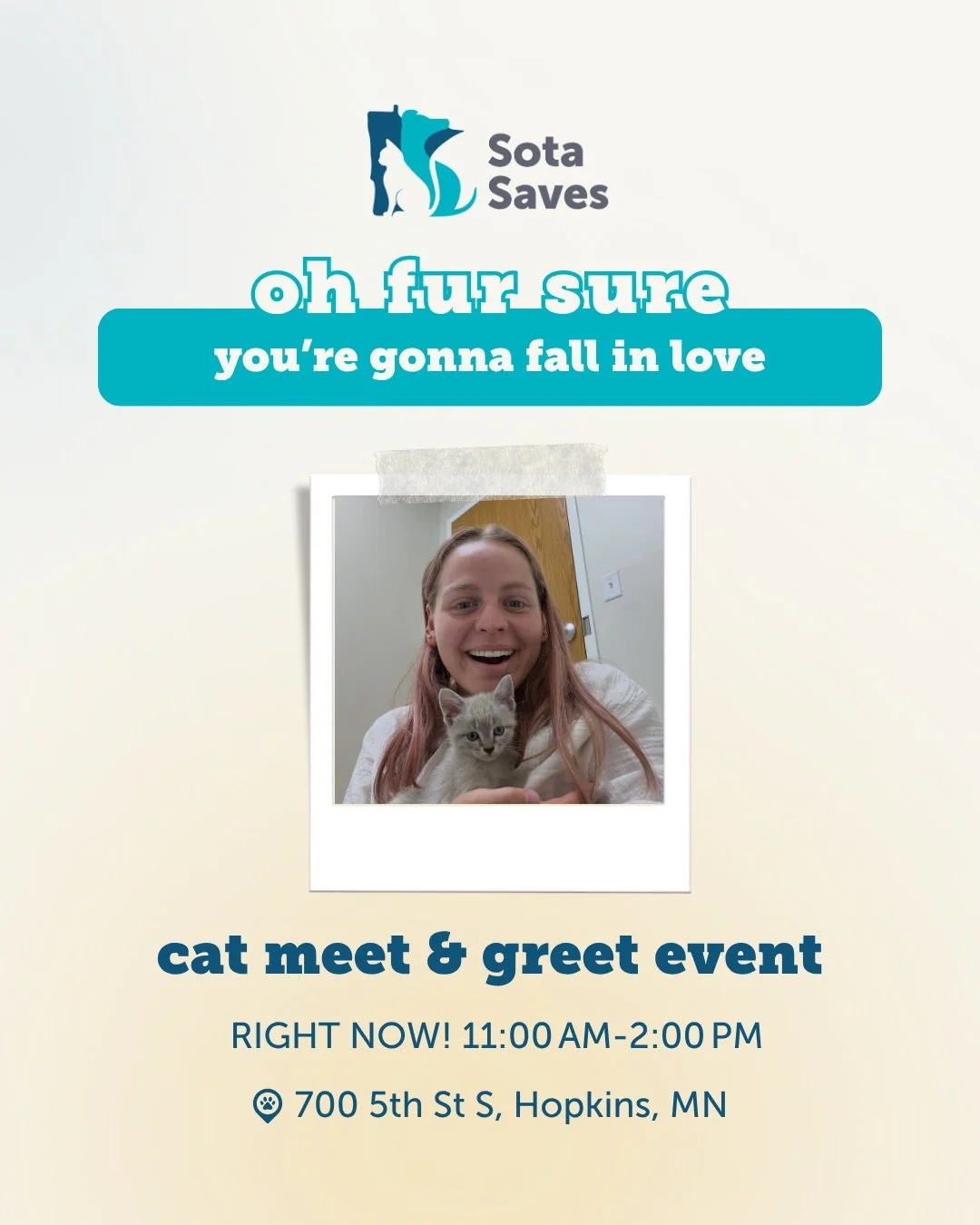 Cat Meet &amp; Greet Event happening NOW!

Oh you are fur sure going to fall in love with these kitties ✨ Scroll through to meet the adoptable cats that will be at the event today!

🗓️ Today, Oct 10 | 11:00 AM &ndash; 2:00 PM 
📍 Sota Saves (700 5th