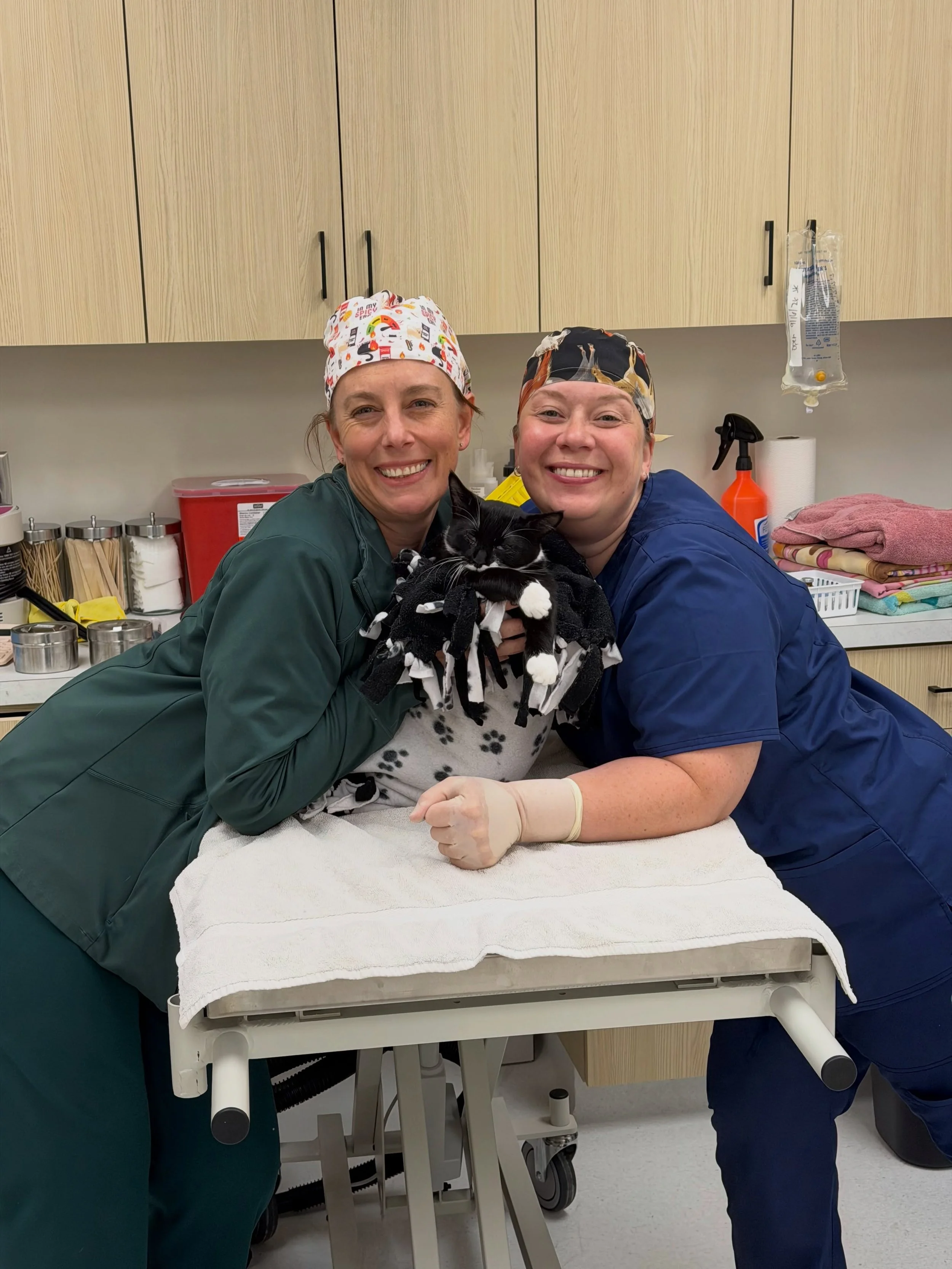 Ask us what we&rsquo;re celebrating this week&hellip; because we have HUGE news! 🙌

Our vet team successfully performed our first surgeries at the new center! This is such an exciting milestone in our move process and brings us one step closer to ou