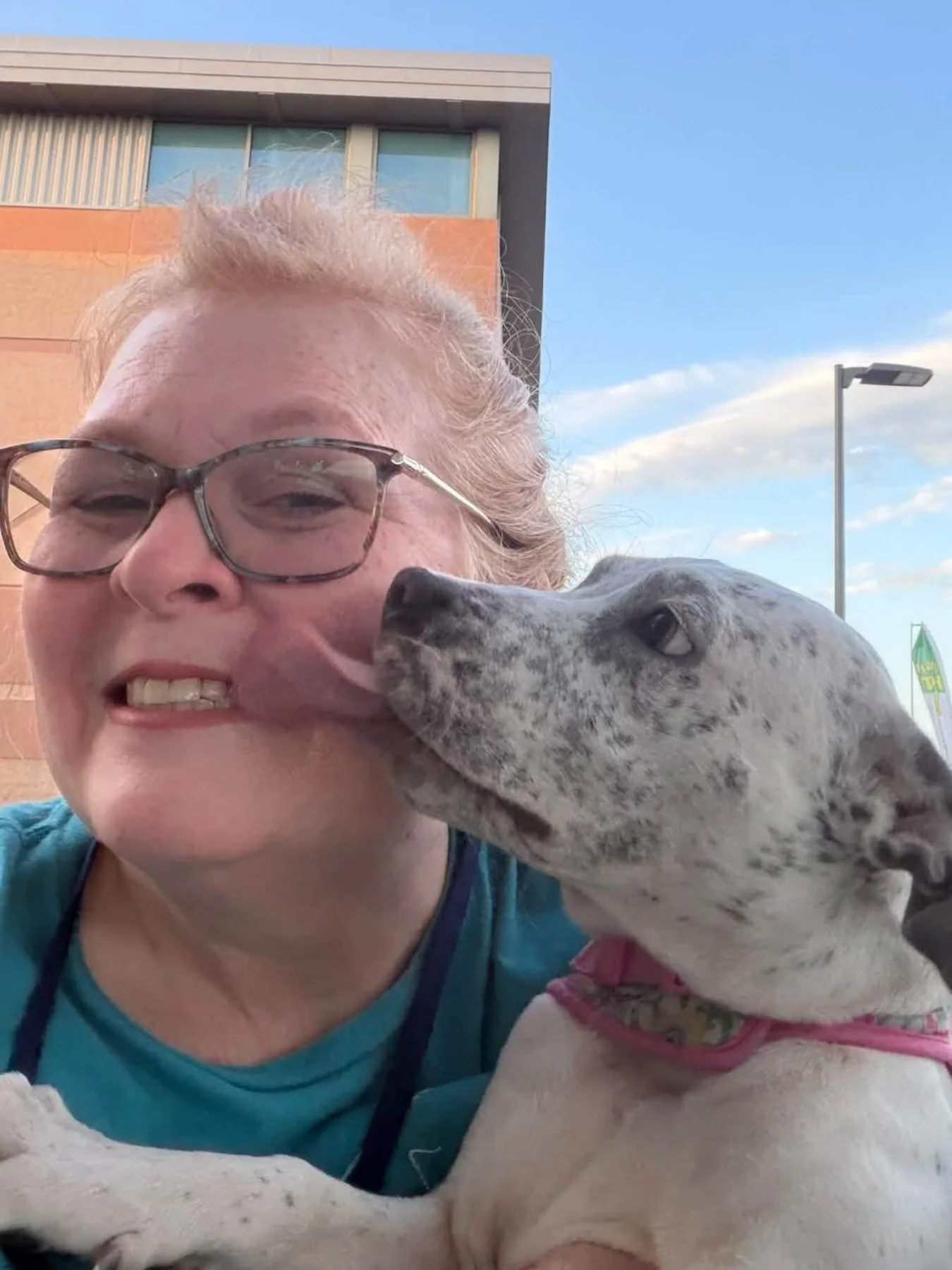 How much fun have we been having lately? Simply too much! 💙

A huge thank you to all the incredible volunteers who helped out at our weekend adoption events. It&rsquo;s so rewarding to get our animals back out in the community!

Thanks to our in-hou