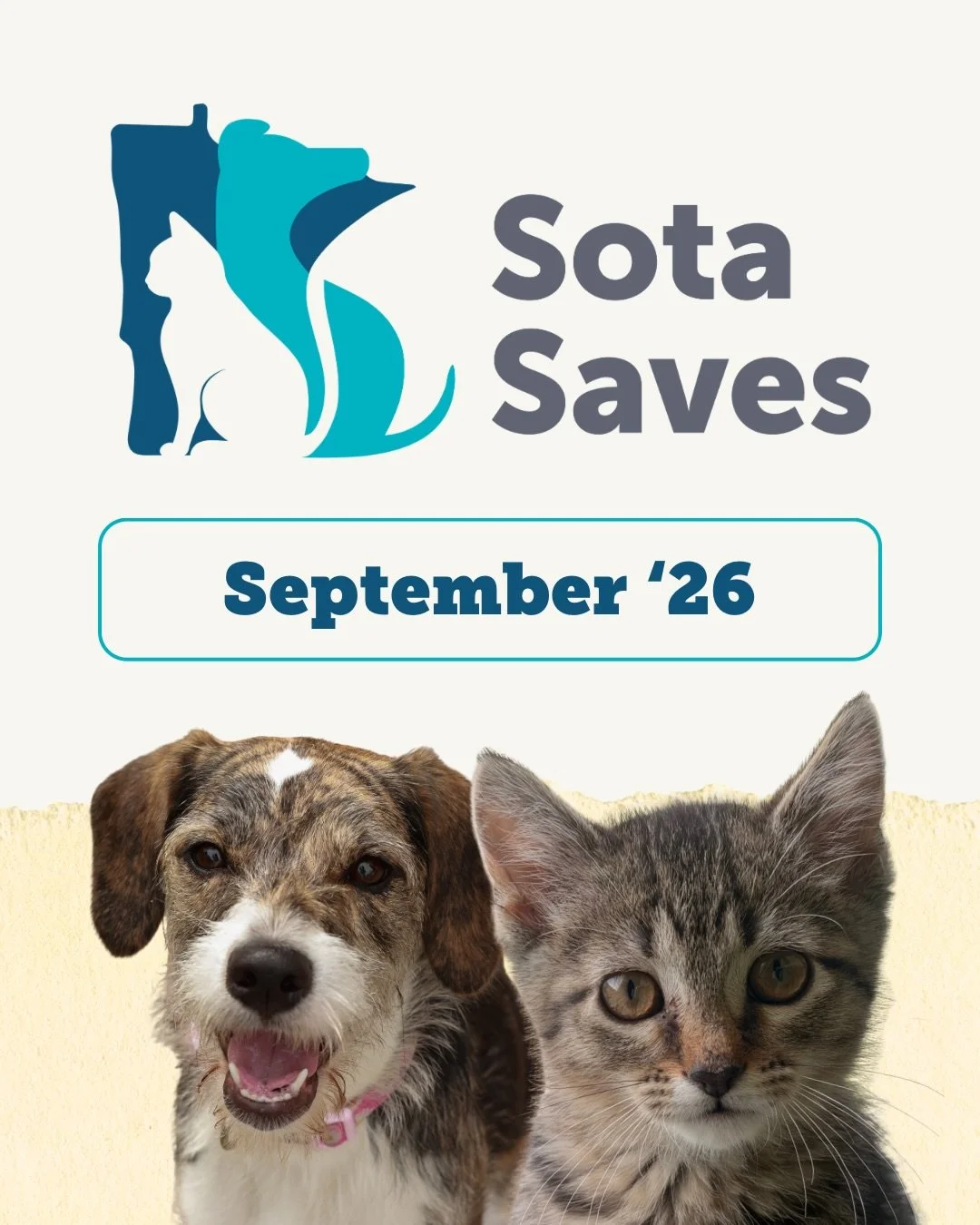 September by the numbers with us! 📊

🐶 19 Animals Adopted
🐈&zwj;⬛ 50 Lives Saved

A massive thank you to everyone who adopted, fostered, or supported us last month. You are the reason these local pets got their second chance! Comment if you were a