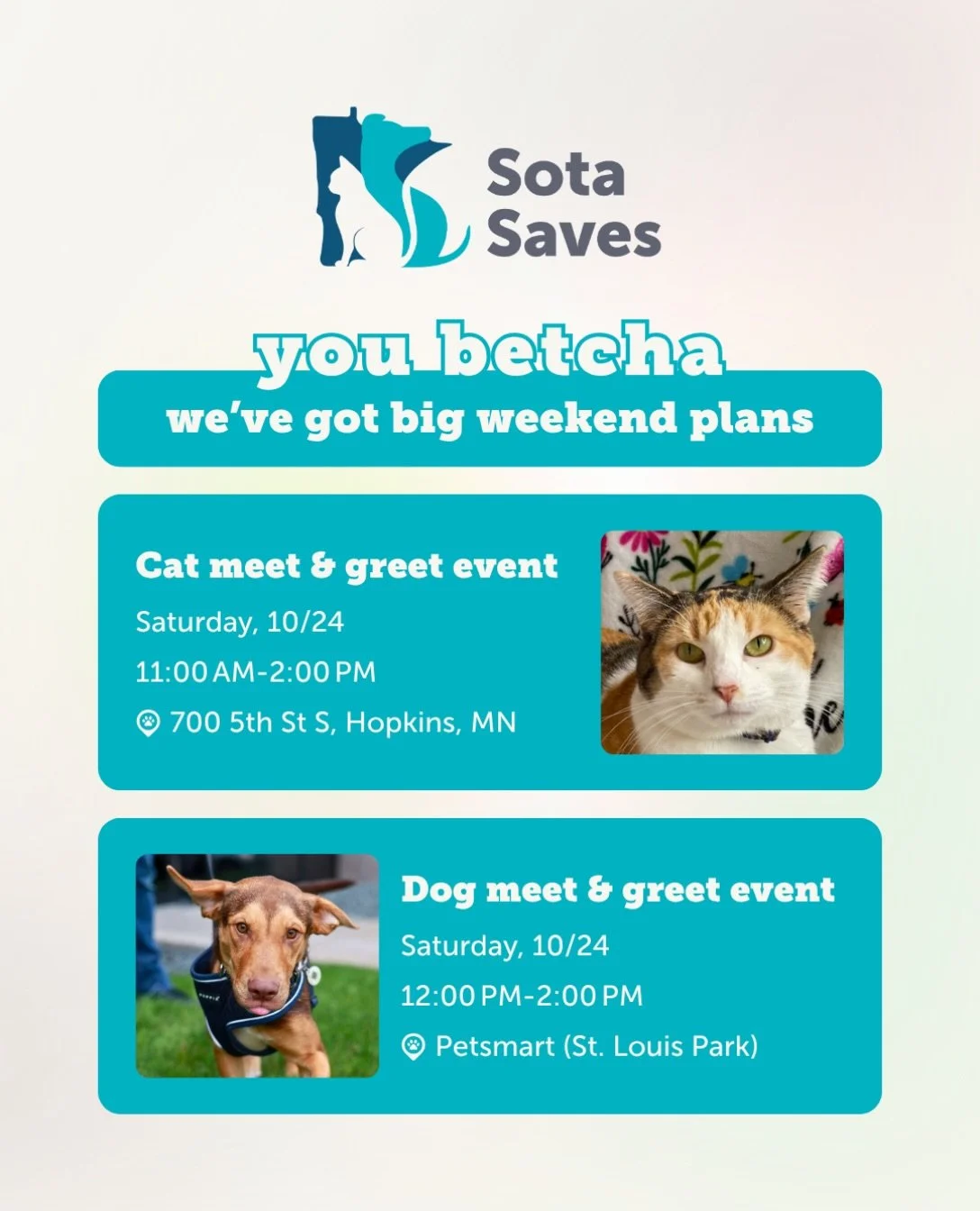 You betcha we got big weekend plans ✨ Come hang out with some adorable pets this weekend!

Cat &amp; Kitten Meet &amp; Greet
🗓️ Saturday, Oct 24 | 11:00 AM &ndash; 2:00 PM
📍 Sota Saves (700 5th St S, Hopkins)
🐾 20+ kittens and cats will be there l