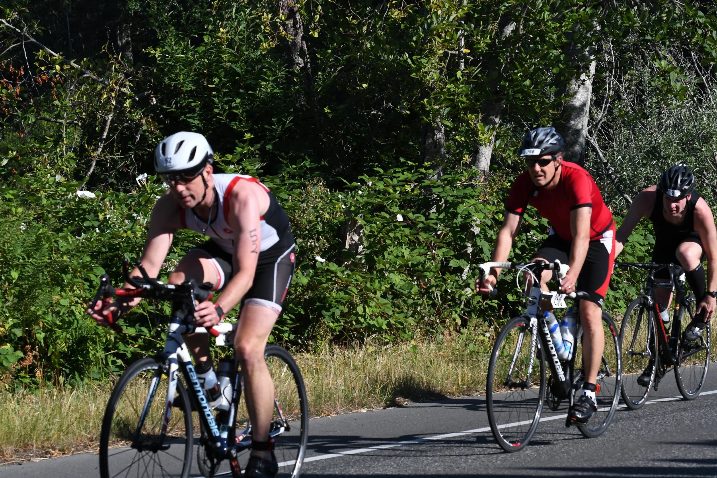 LWT_2018_bike_-62.jpg