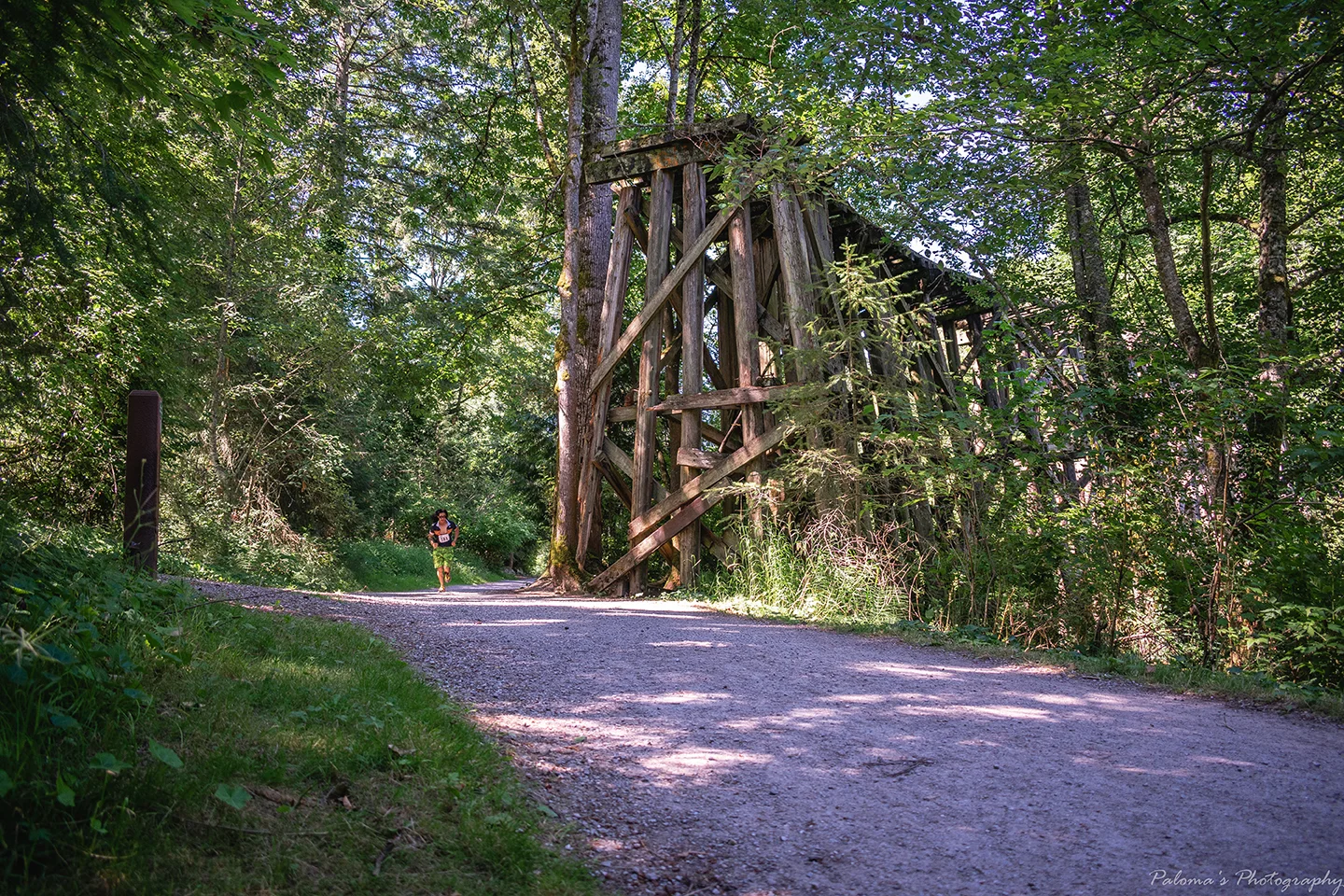DSC_0381 (2).jpg