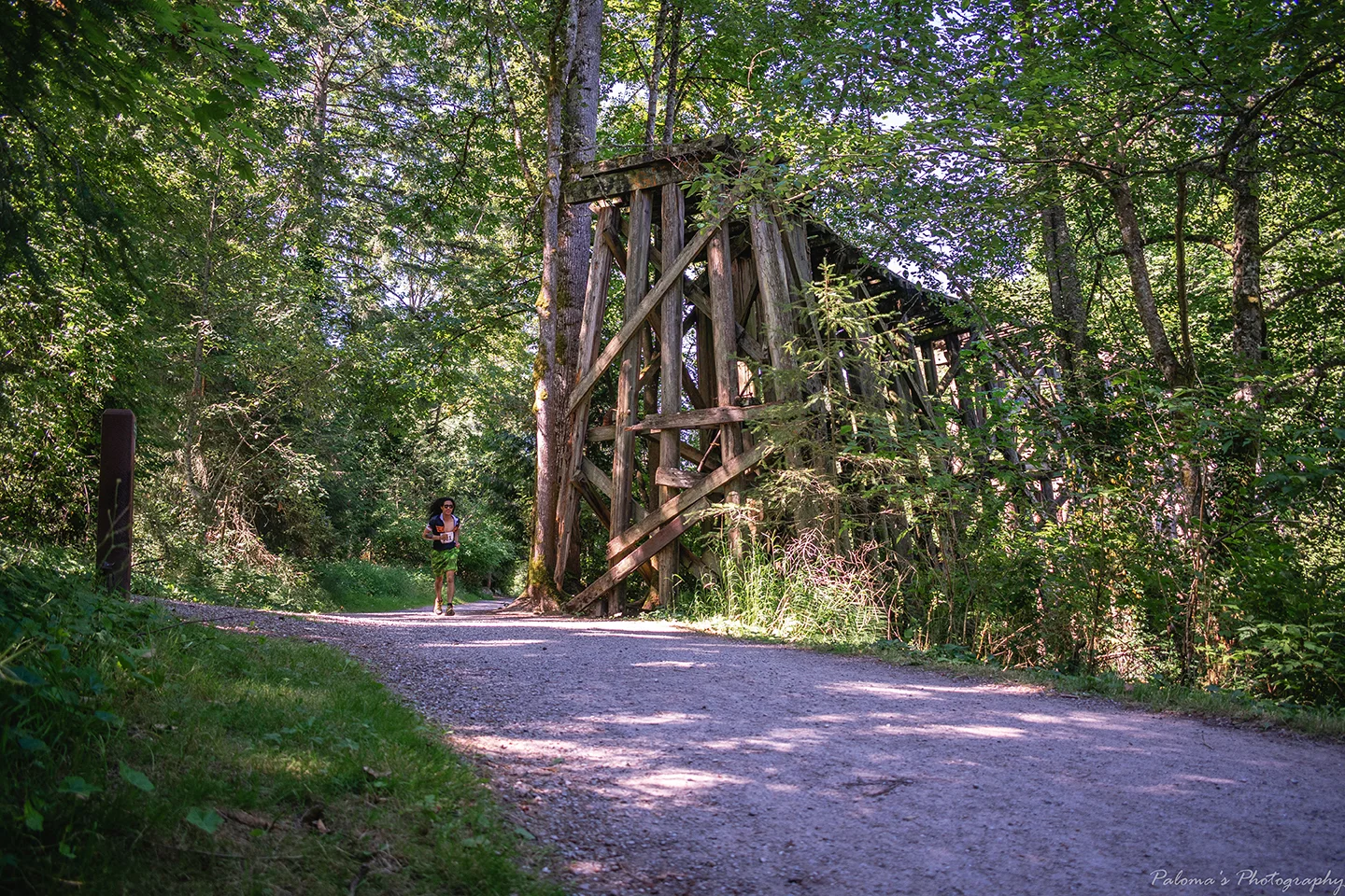 DSC_0382 (2).jpg