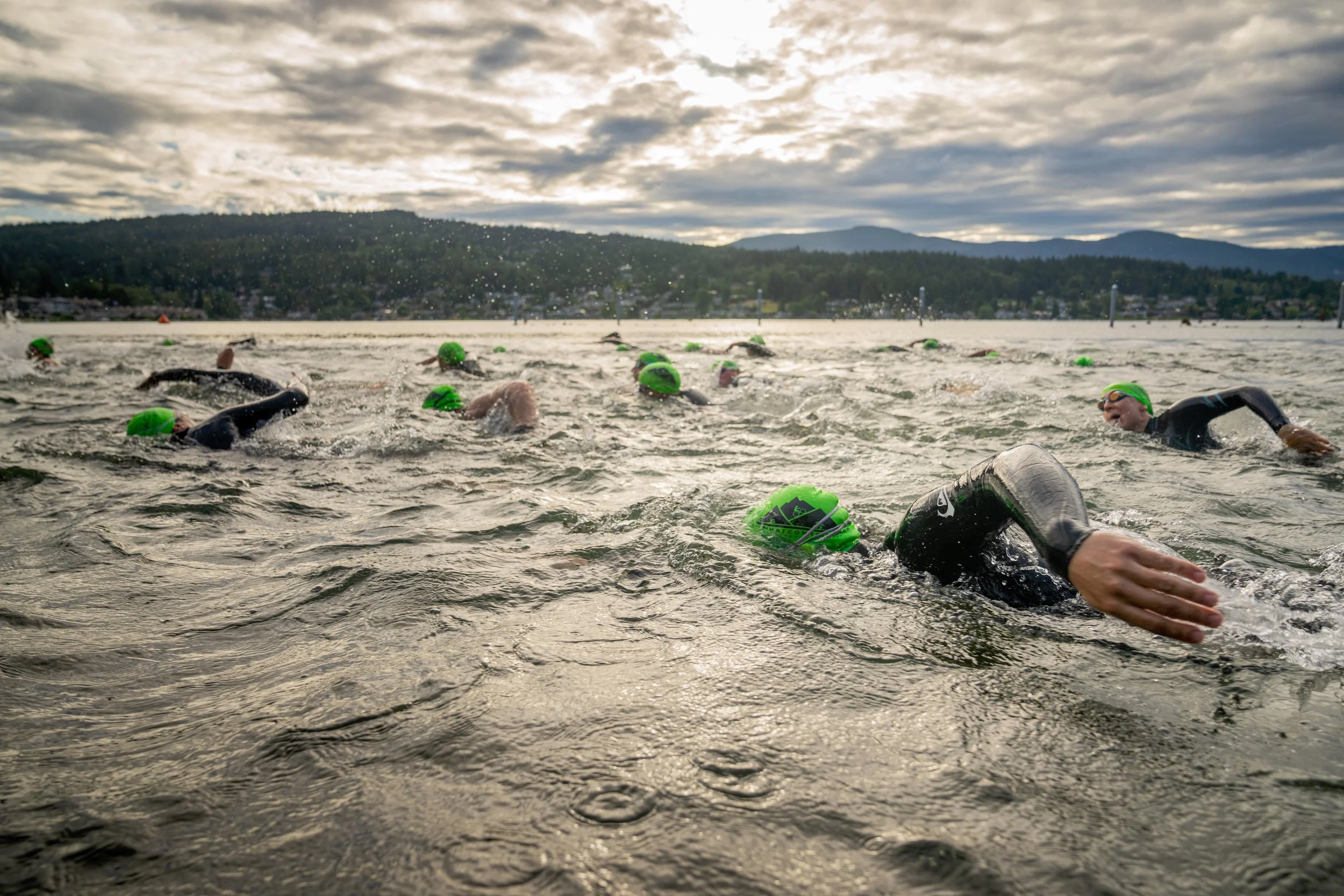 Screenshot 2026-01-28 at 11.04.10 AM.jpg