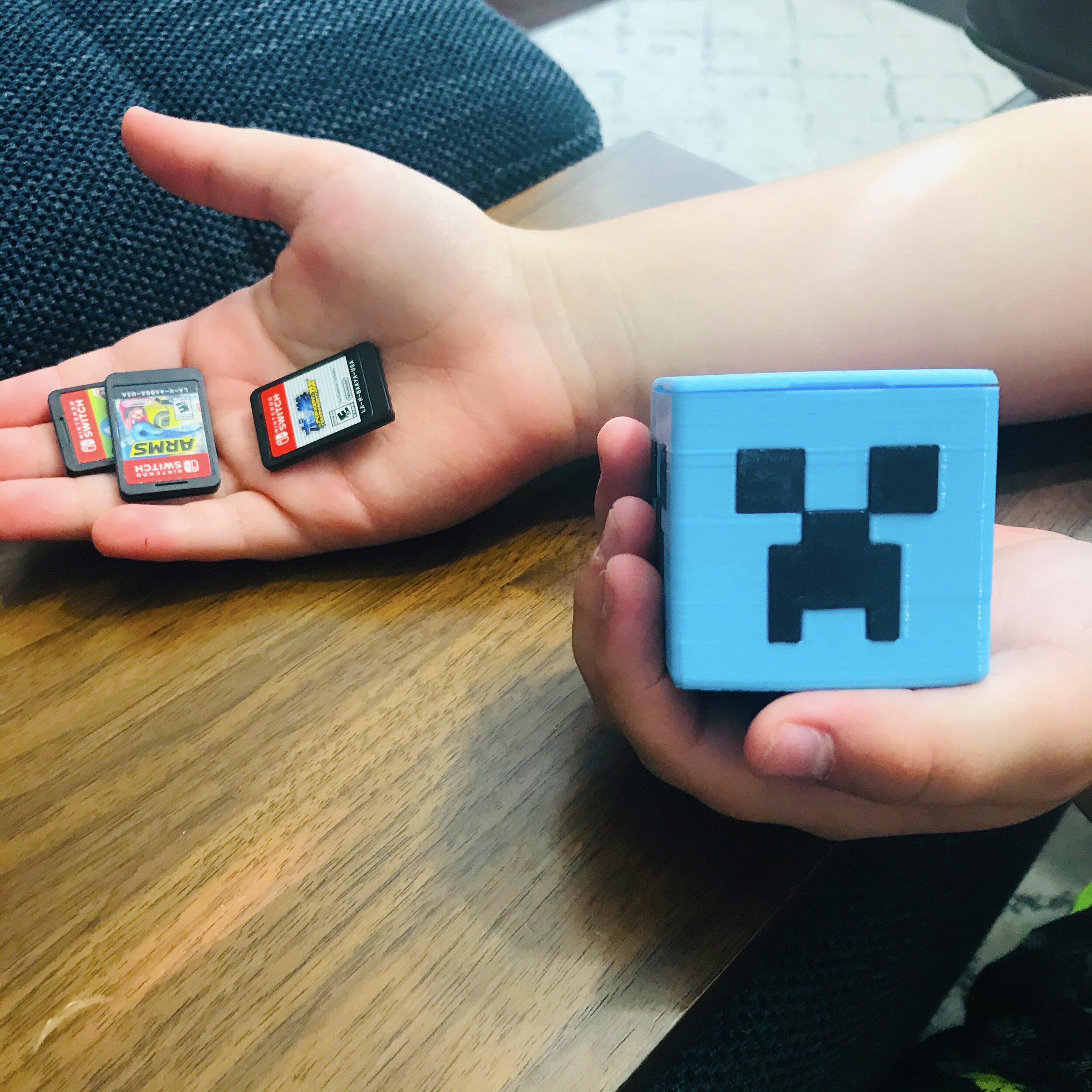 Switch Gamecard Holder - Minecraft Multicolor