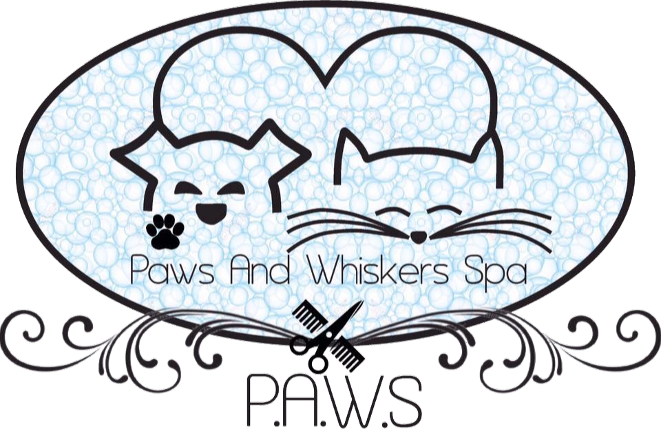 Paws And Whiskers Spa