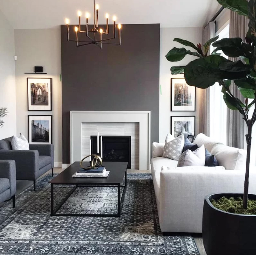 Asha Maía Design Interior Designer, How To Choose A Living Room Area Rug