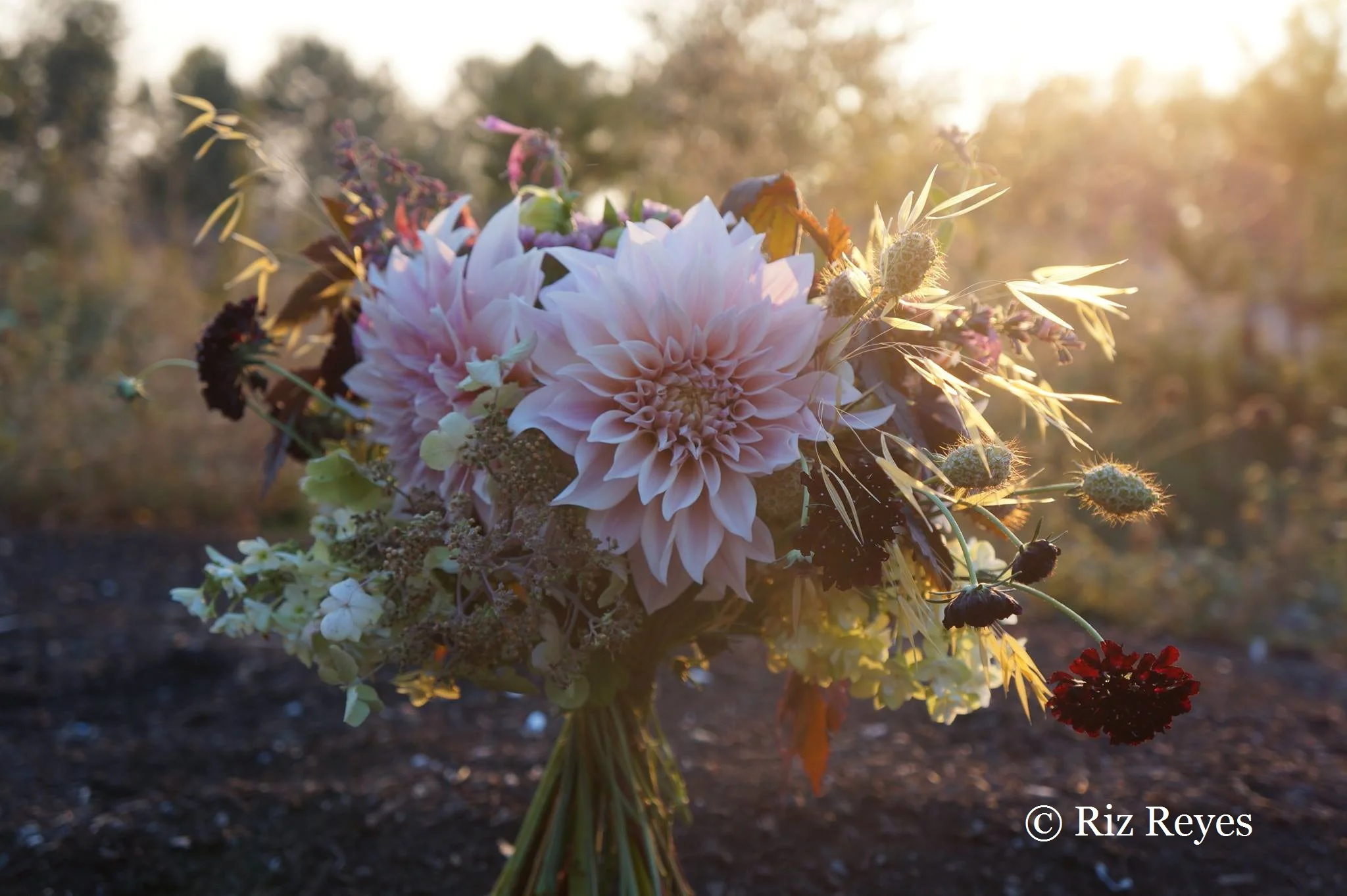 "There are always flowers for those who want..."