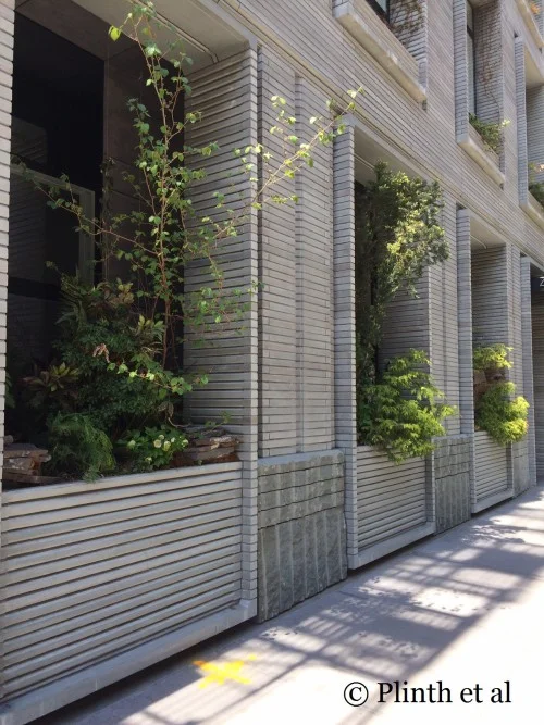 Tuesday's Terrace: Urban Green Window Recesses