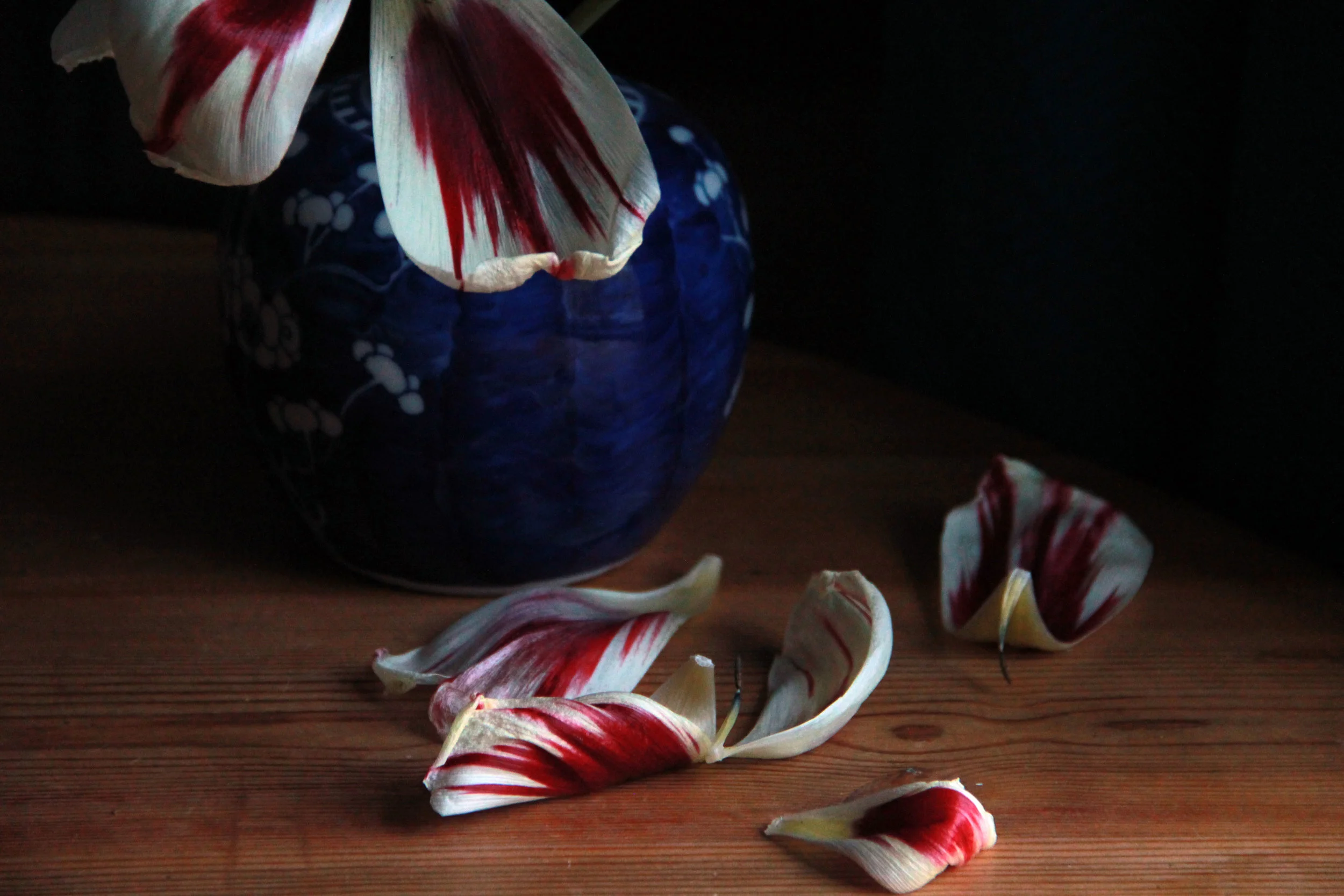 "I found I could say things..."