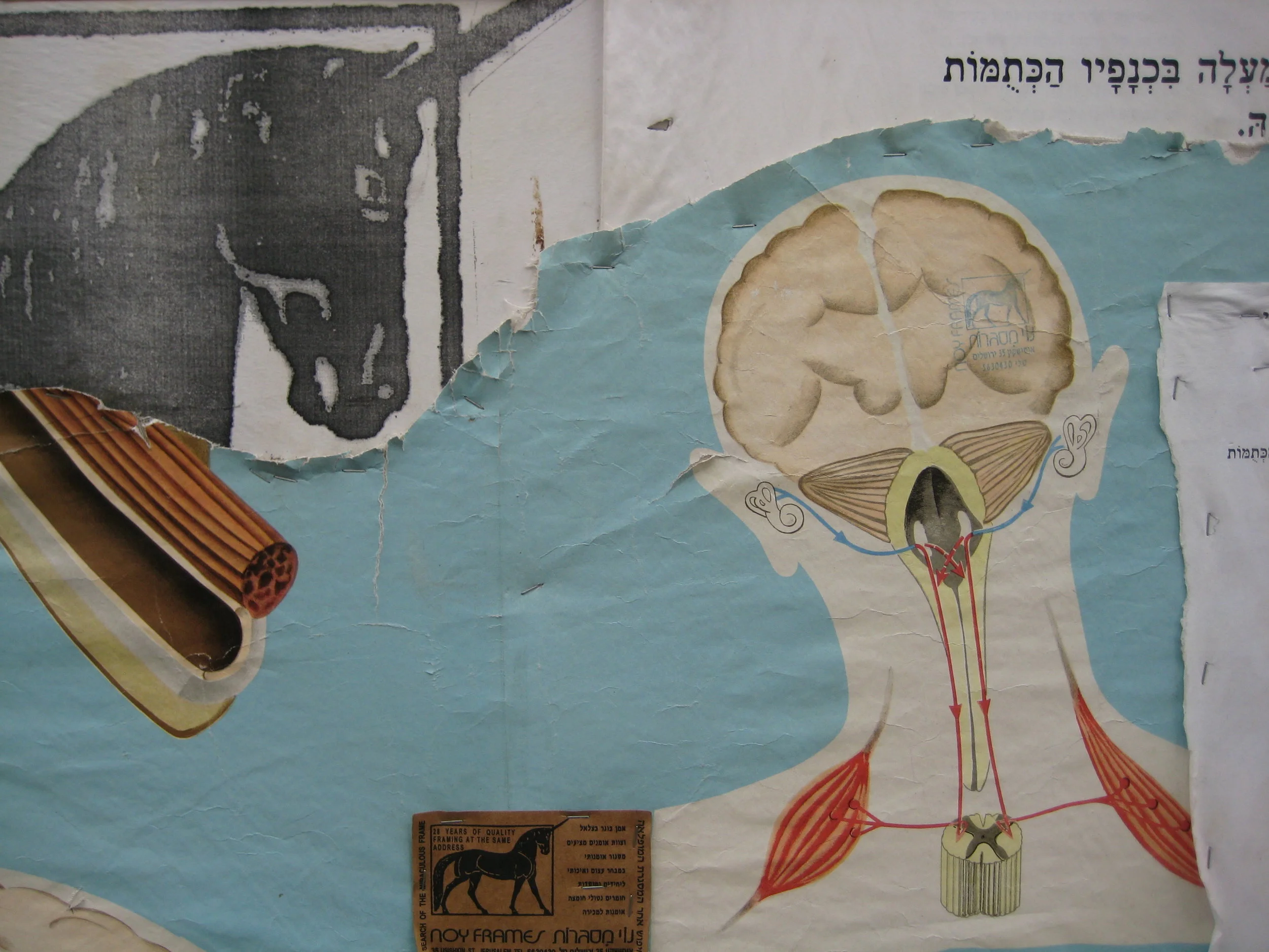 'Aesthetics is for...'