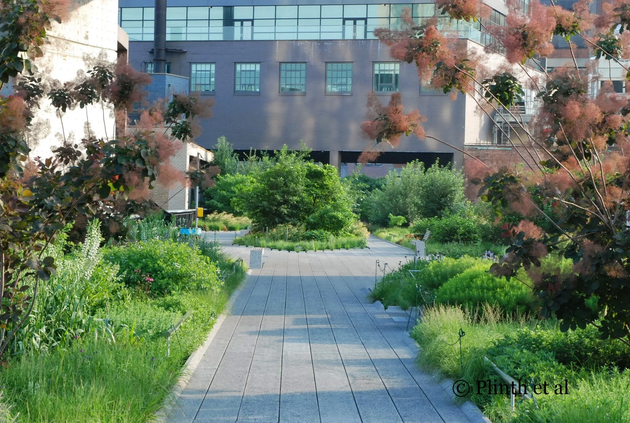 'You look at this [garden]....'