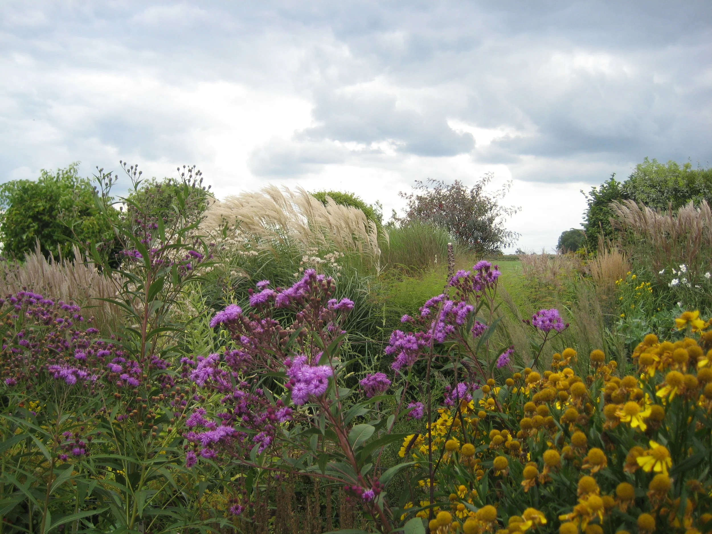 Hummelo Revisited, A Pictorial