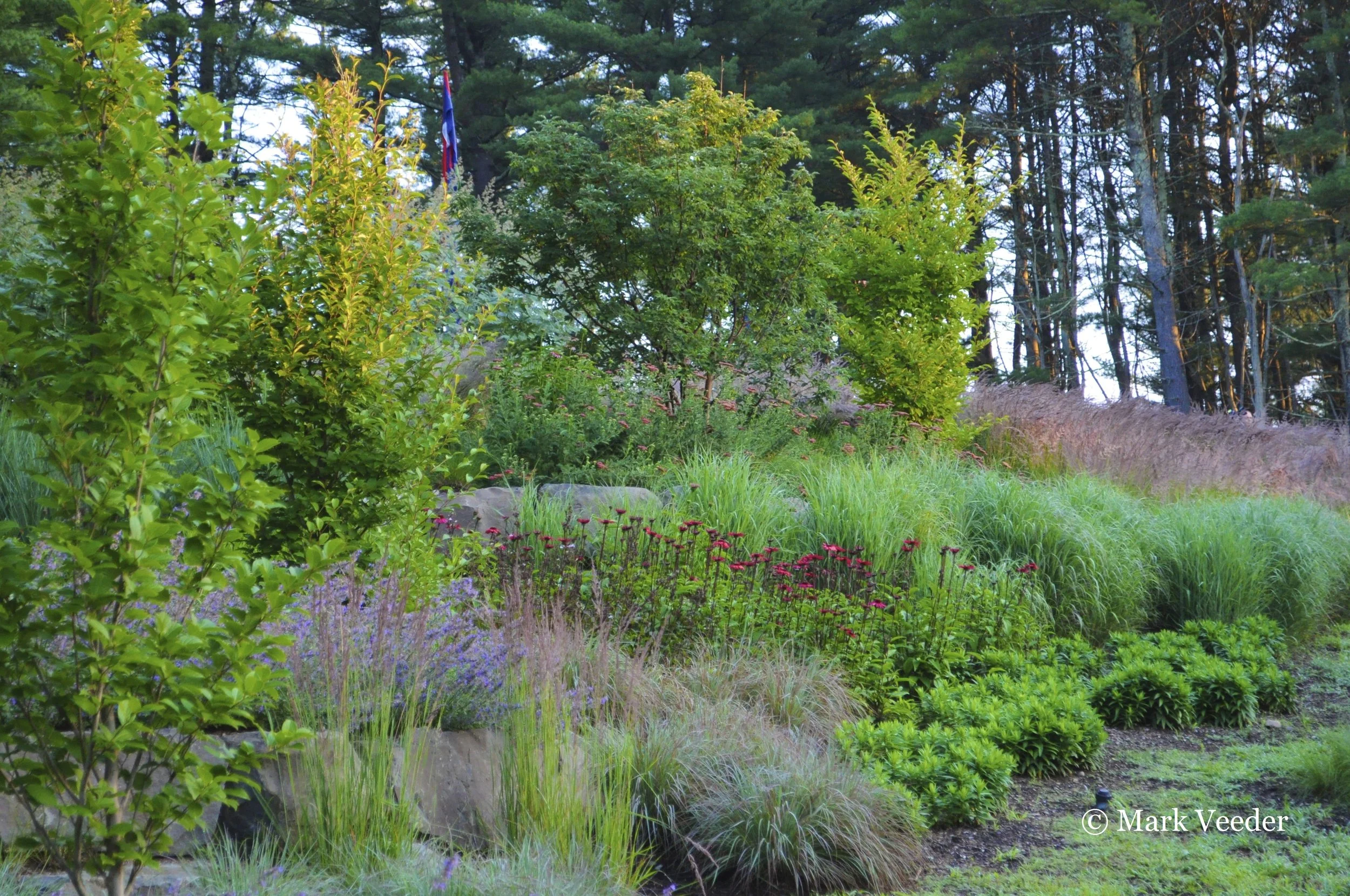 Anatomy of a Garden: Stone Arches