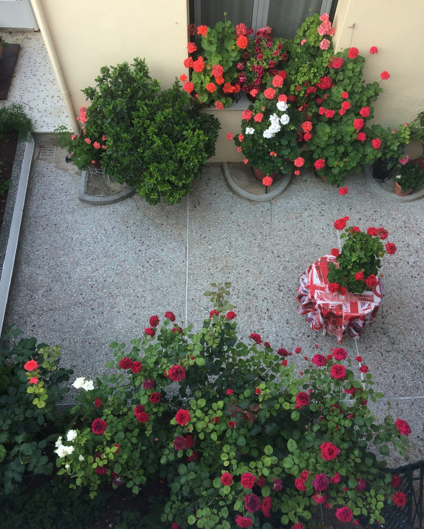 Tuesday's Terrace: Eric in Greece