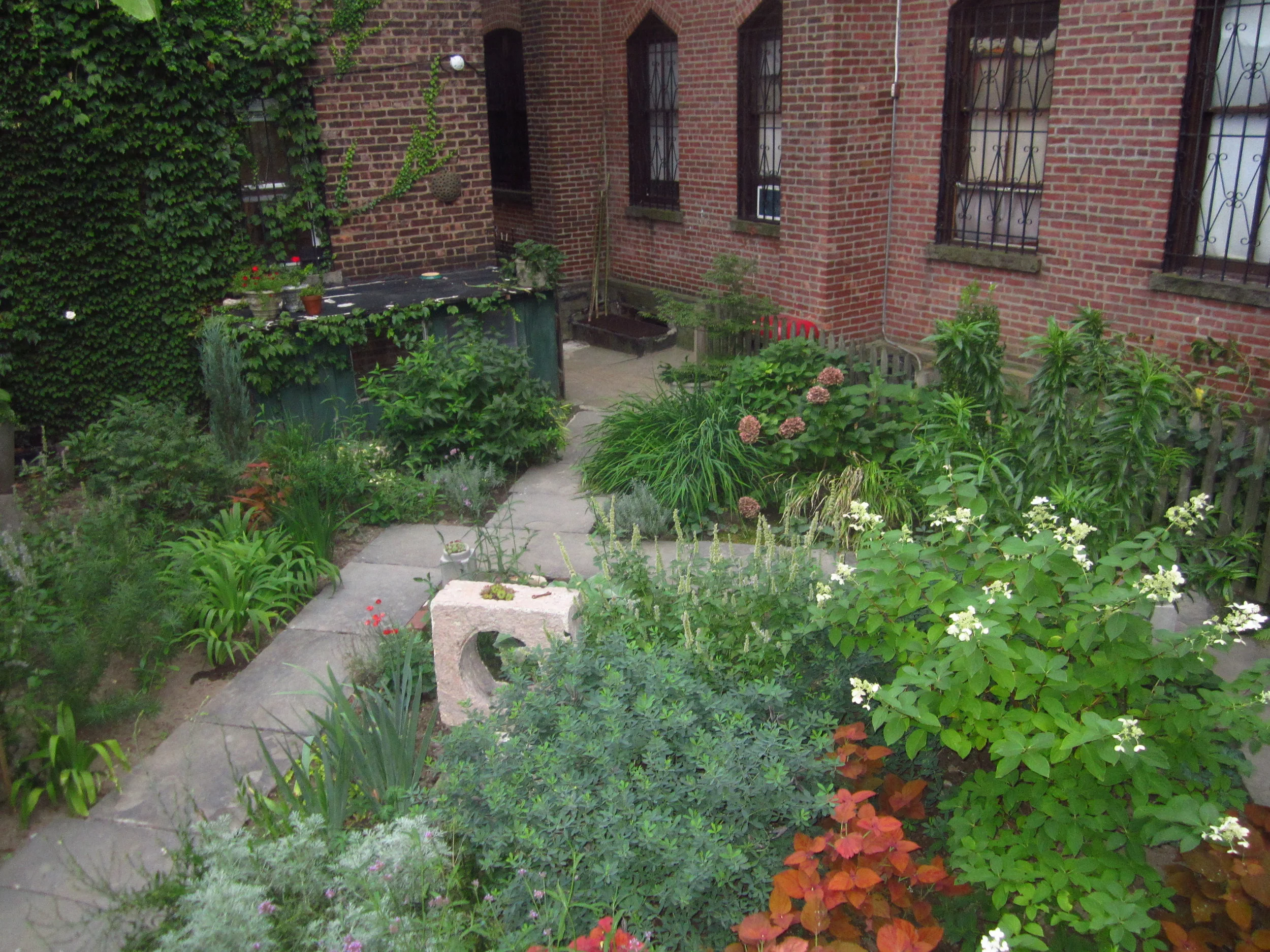 Tuesday's Terrace: Brooklyn