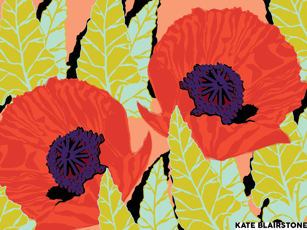 5-10-5: Kate Blairstone, Illustrator and Print Maker — Plinth et al