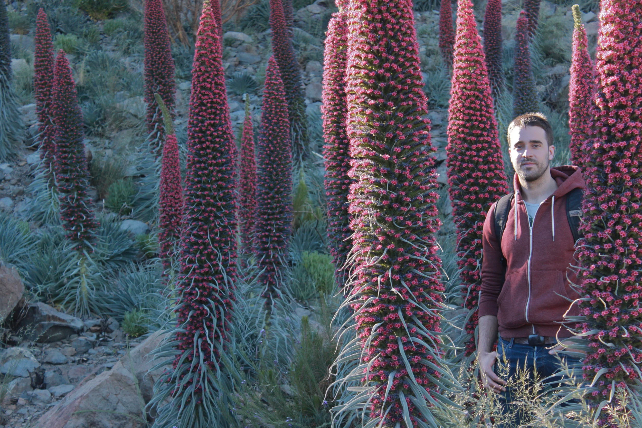 Foreign Gardeners: Andrés, from Madrid to San Francisco