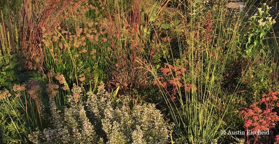 "Gardens also teach us to live more in the......"