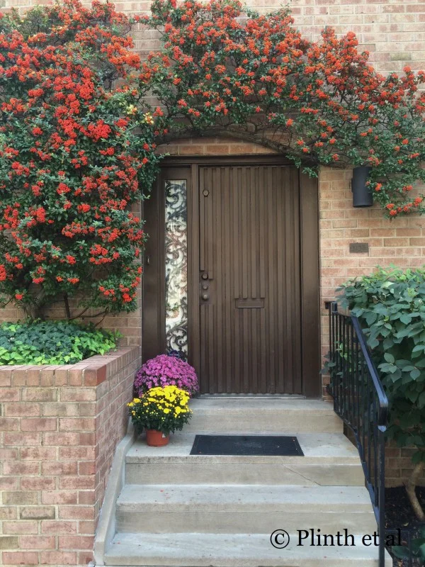 Tuesday's Terrace: Autumn Cheer from Firethorn, Philadelphia, PA