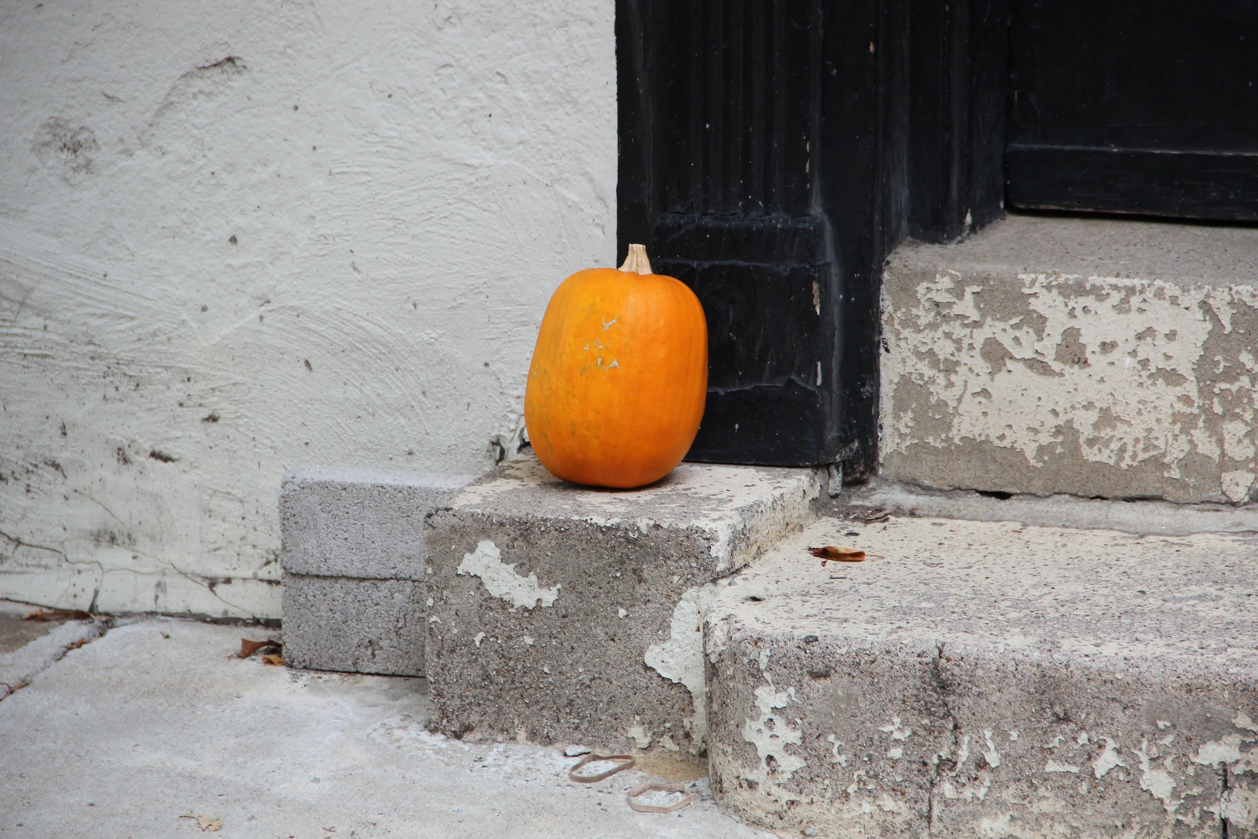 "I would rather sit on a pumpkin..."