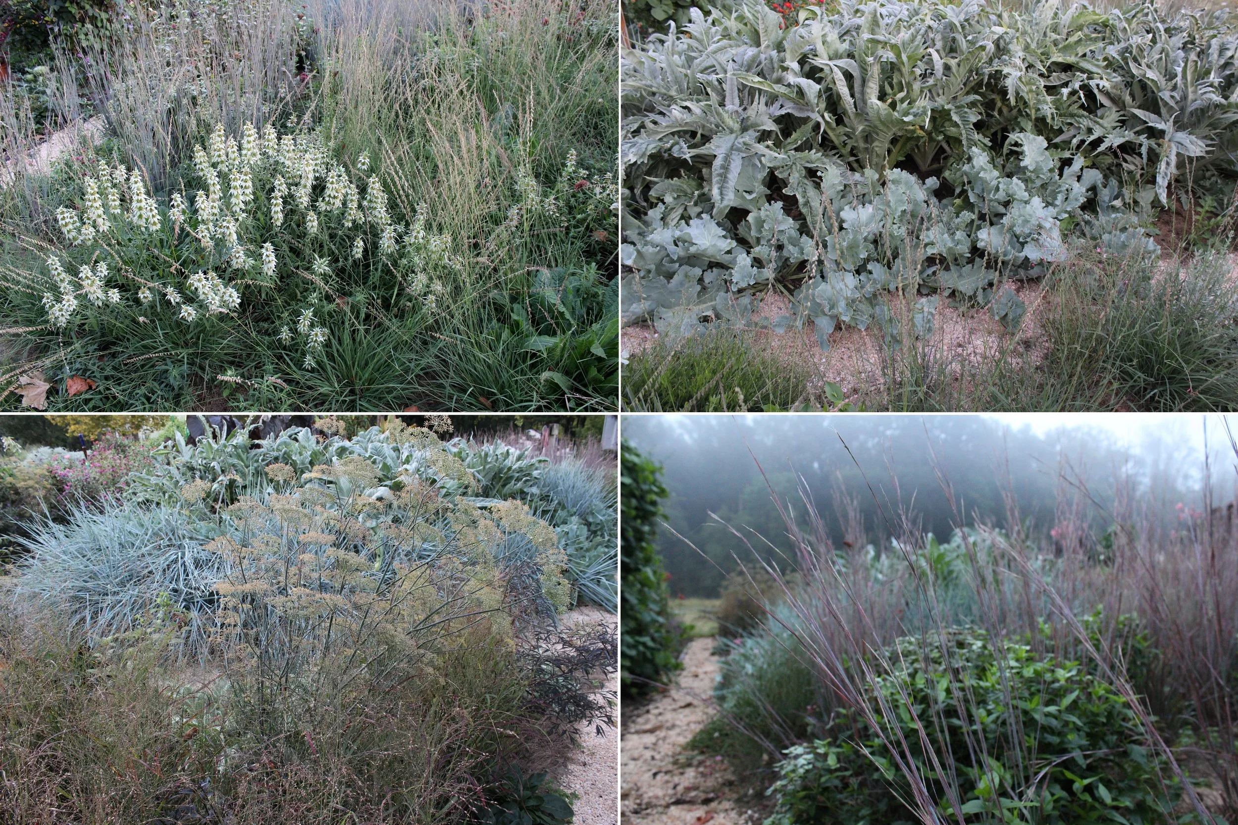 A Student Garden in Three Steppes