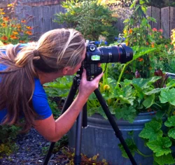 5-10-5: Claire Takacs, Garden Photographer