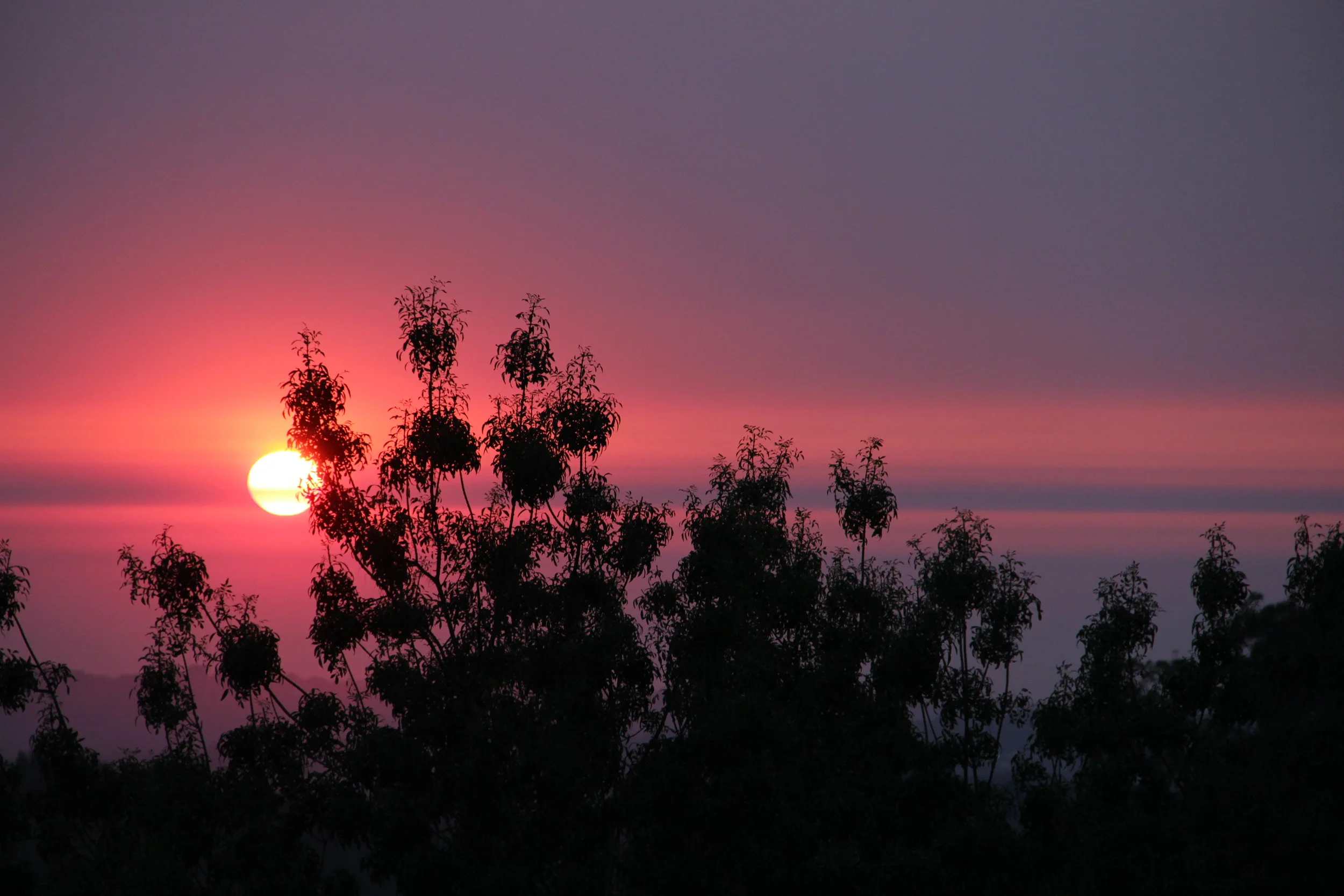 Saturday Clippings: the snowed in edition